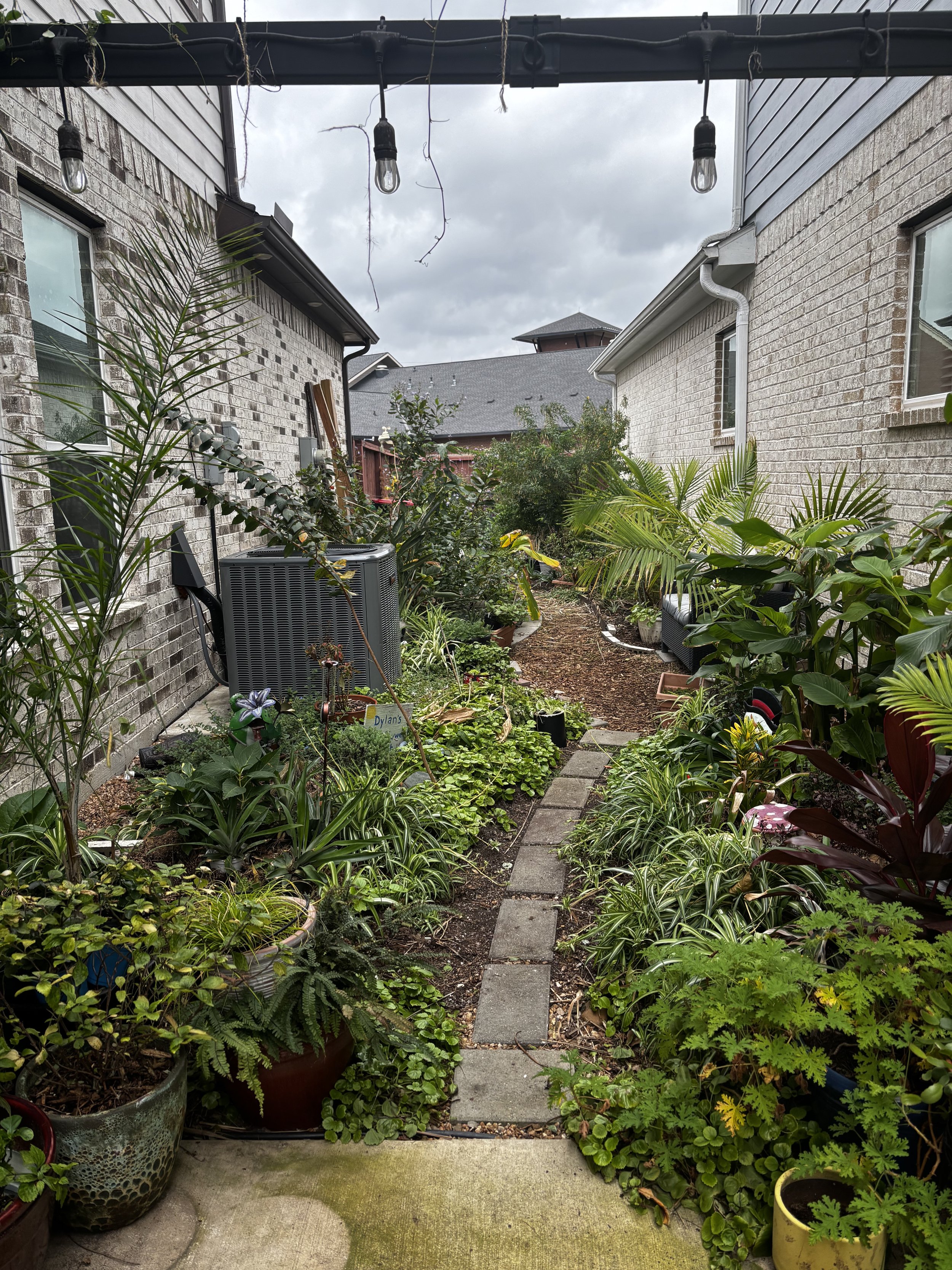 A narrow backyard garden with potted plants and a stone pathway, surrounded by brick and siding houses under a cloudy sky.