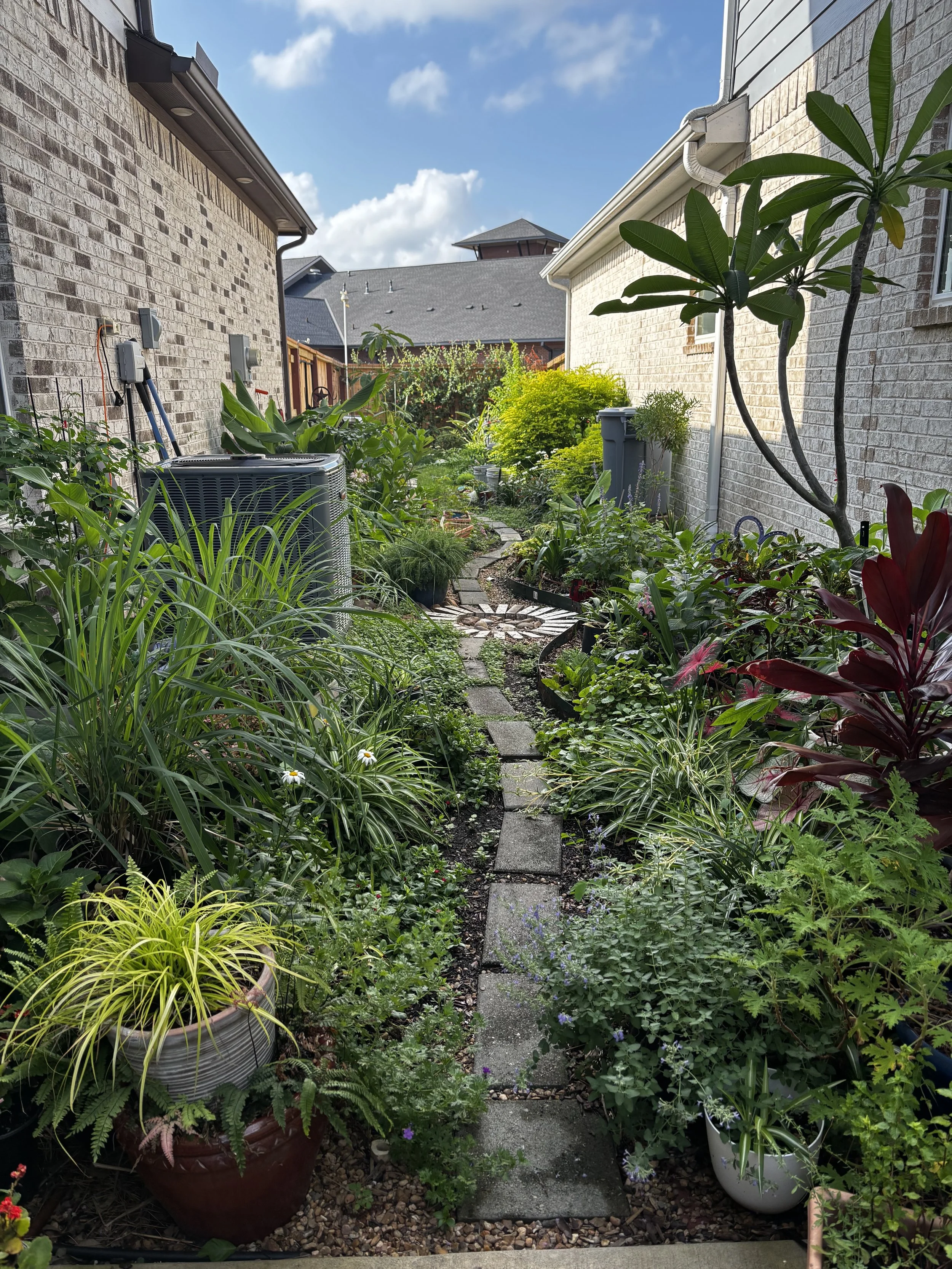 A garden pathway made of rectangular stone pavers surrounded by lush green plants and potted plants along the sides. There is a clear blue sky with some clouds overhead.
