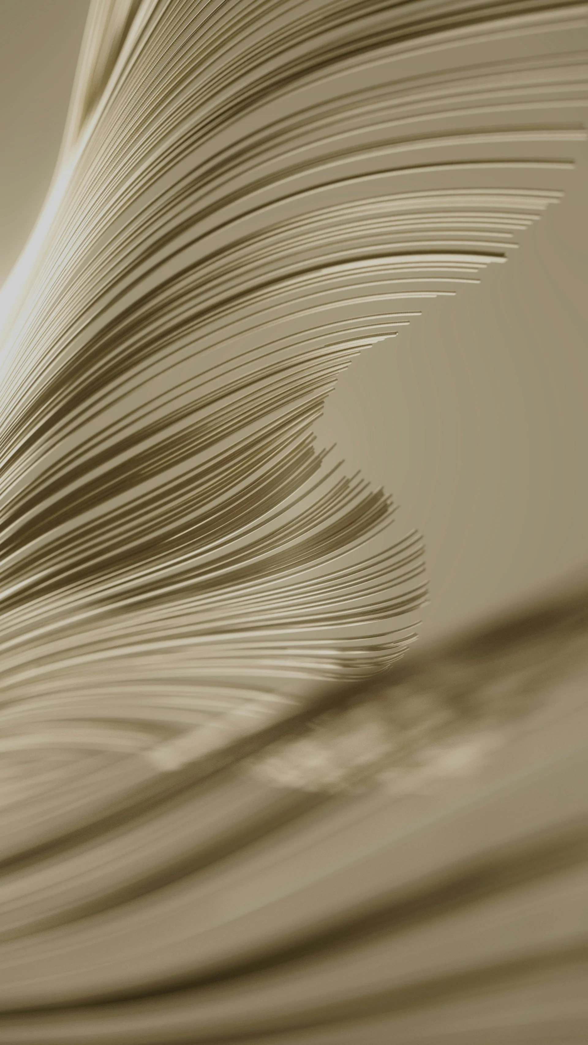 Close-up of open book's pages, flowing and curved.