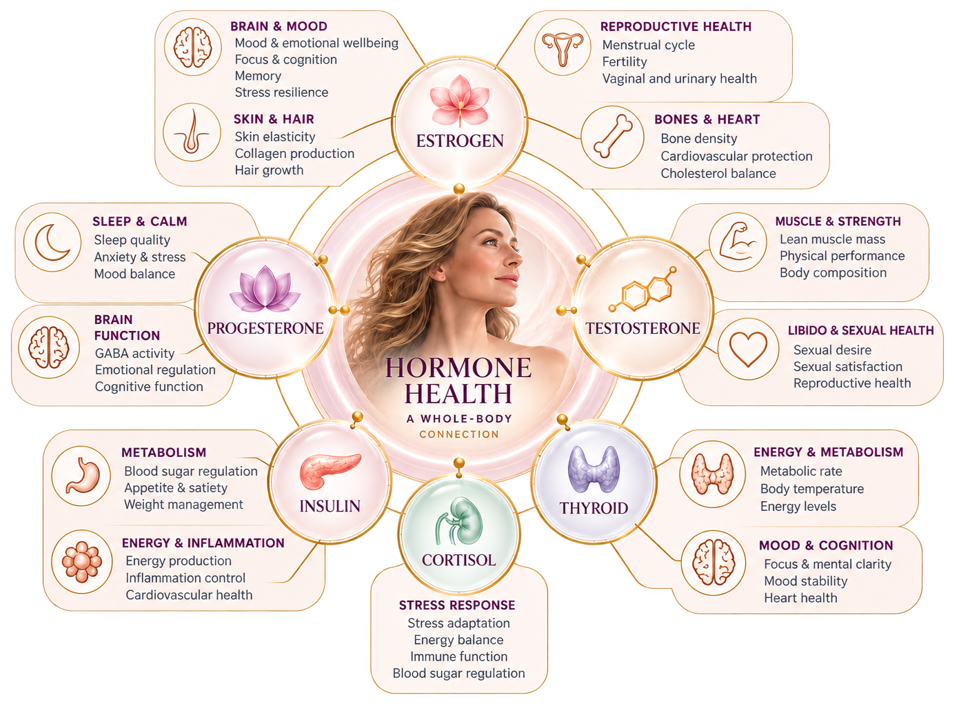 a graphic reviewing the complex interactions of hormone health