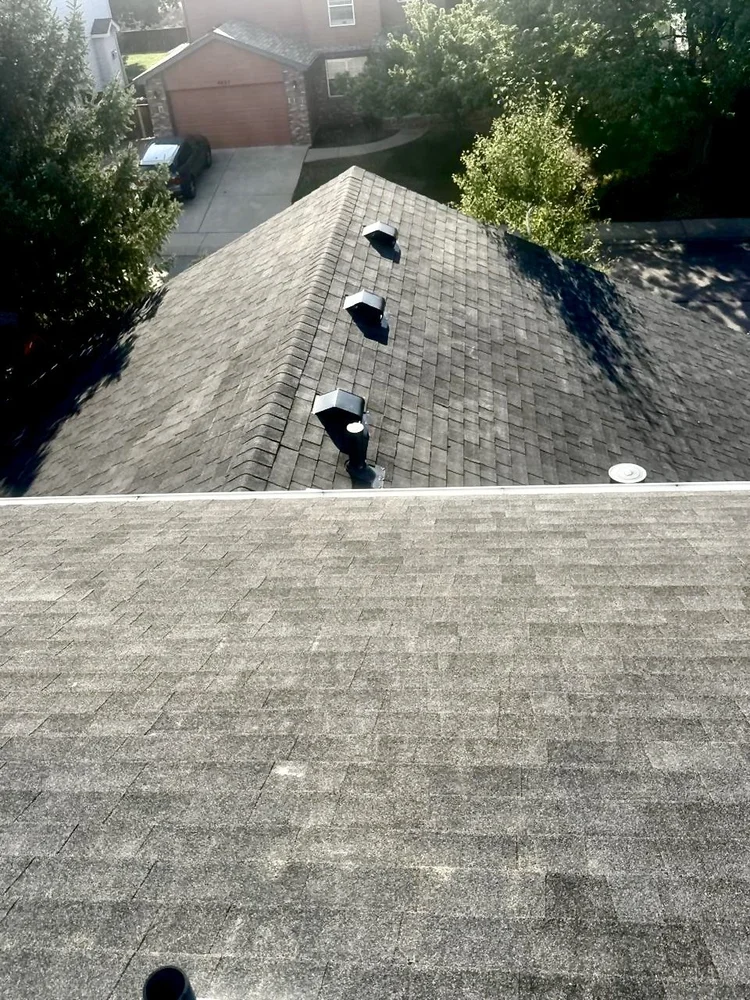 Storm-damaged shingles