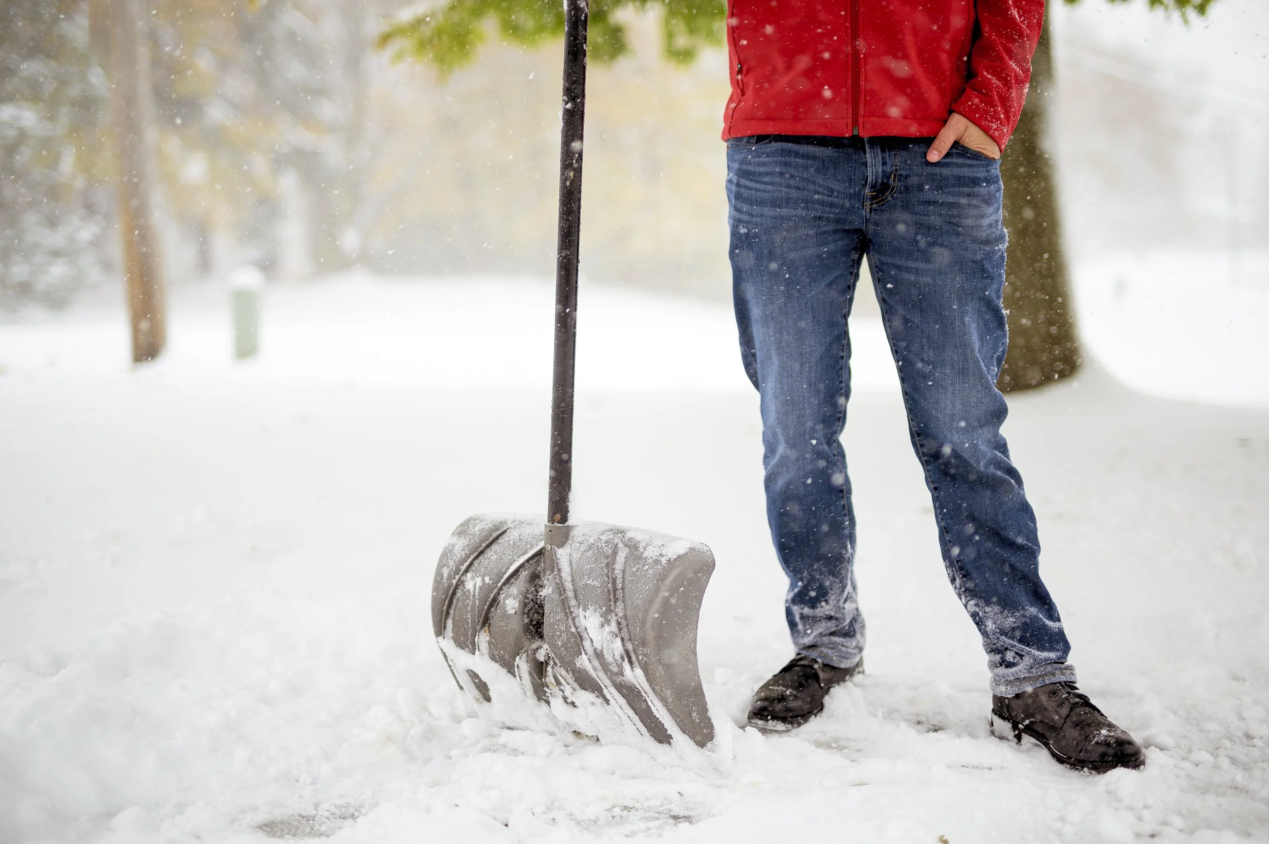A person wearing a red jacket and blue jeans shoveling snow outdoors, with snow falling around and trees in the background.