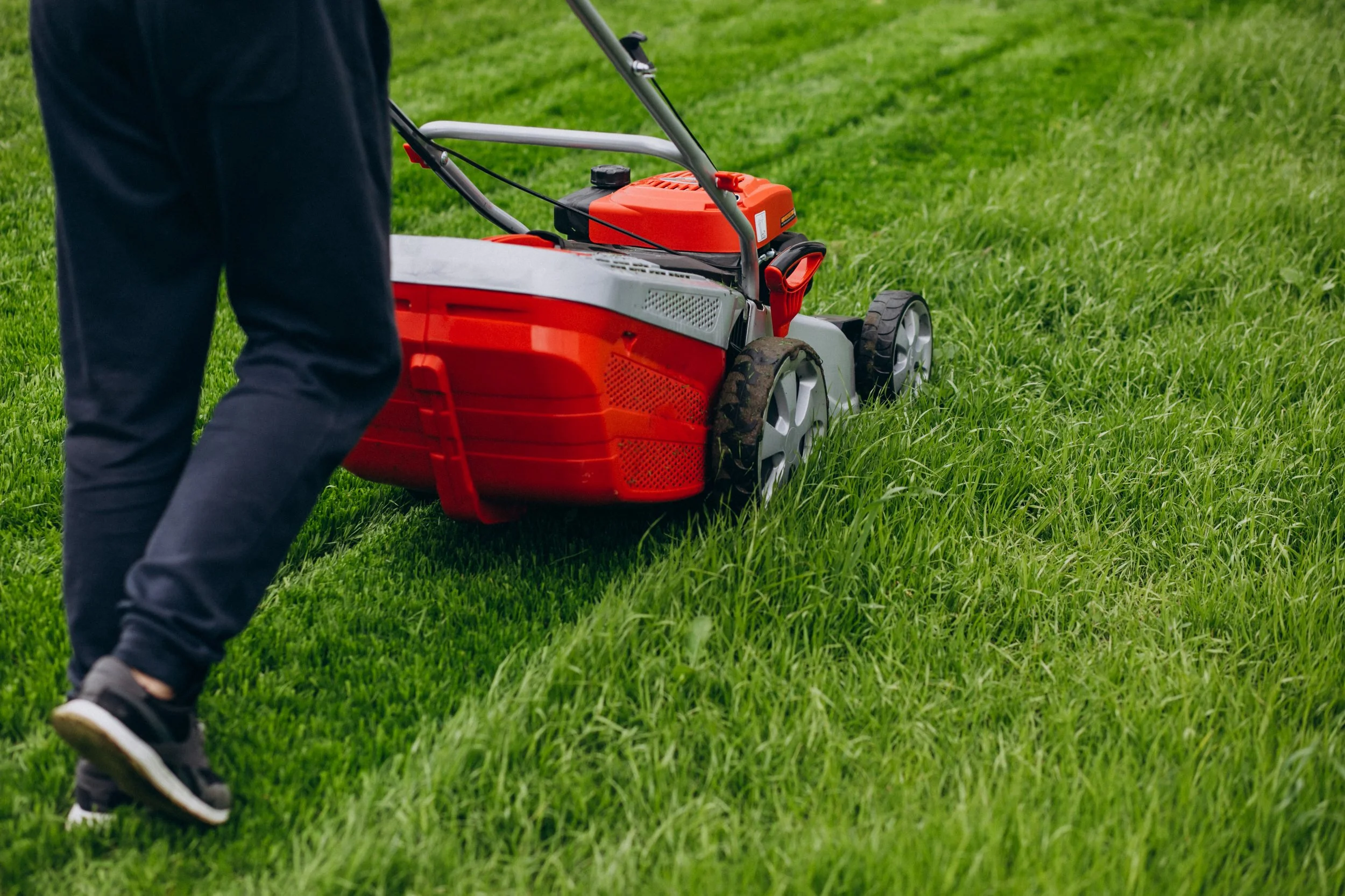 Person in black pants mowing a lush green lawn with a red and gray gas-powered lawn mower.