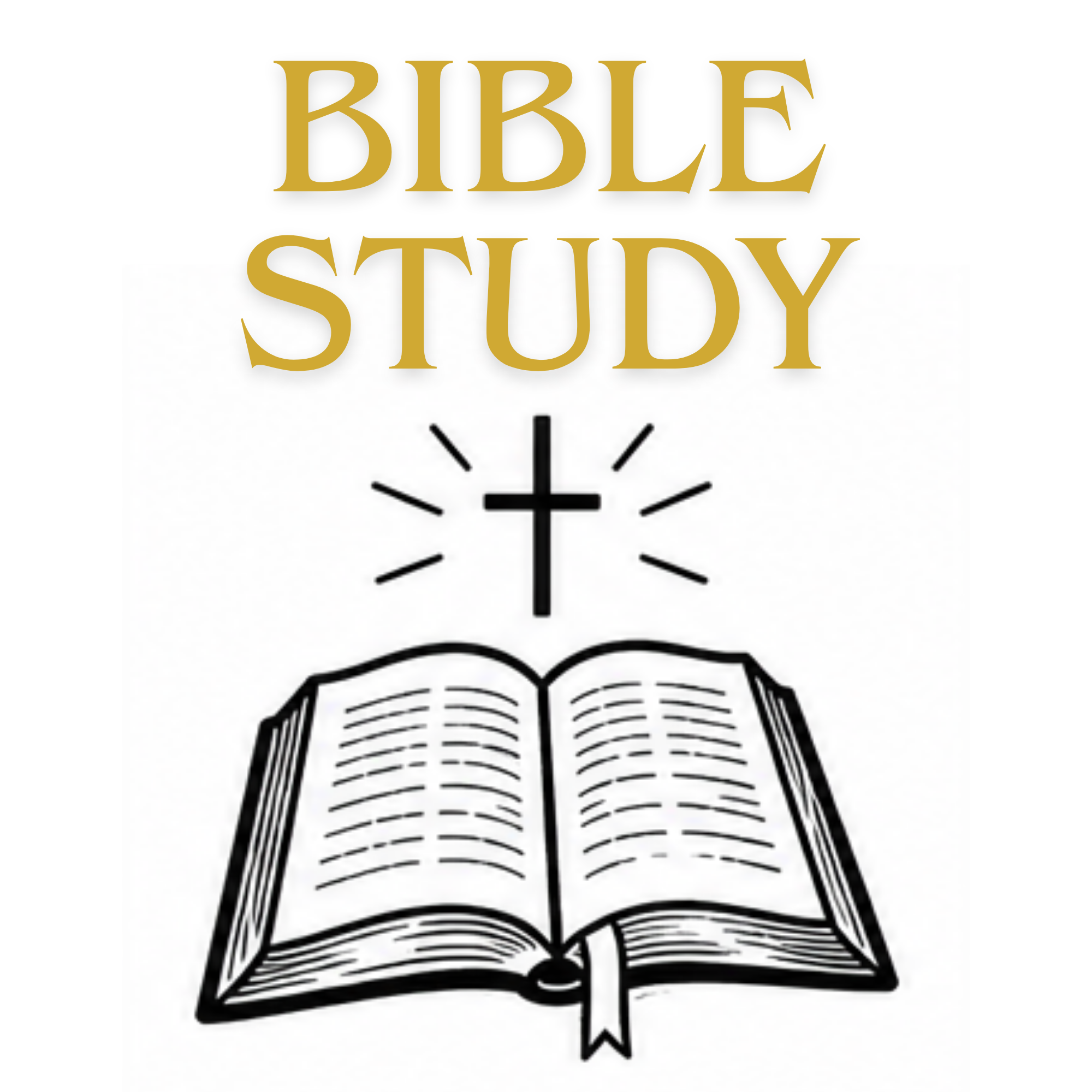 ChosenGen Bible Study