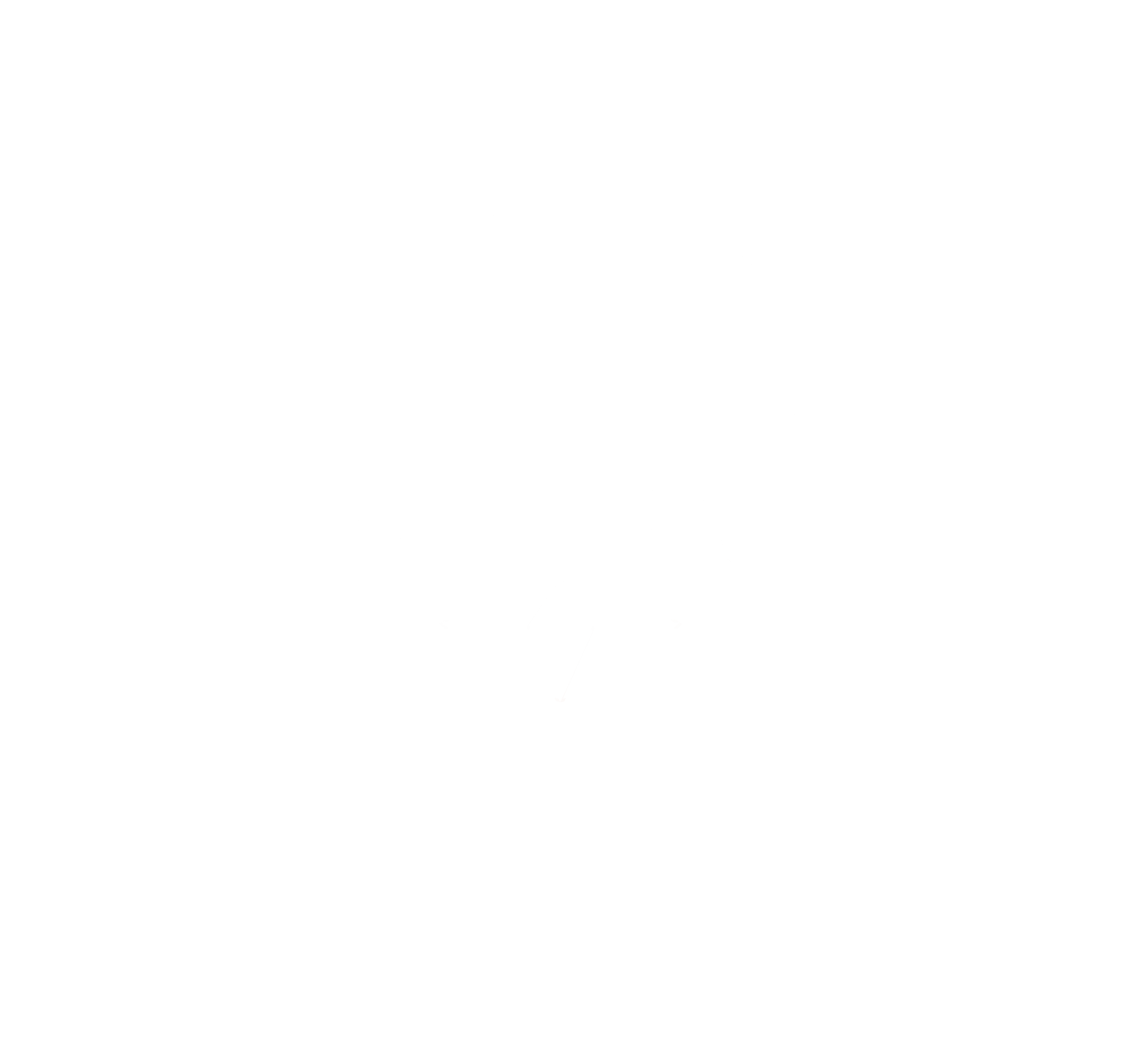 Black and white logo featuring a geometric bear face with woman's eyes, accompanied by the text "CONIC REEVOLUTIONARY BEAUTY".