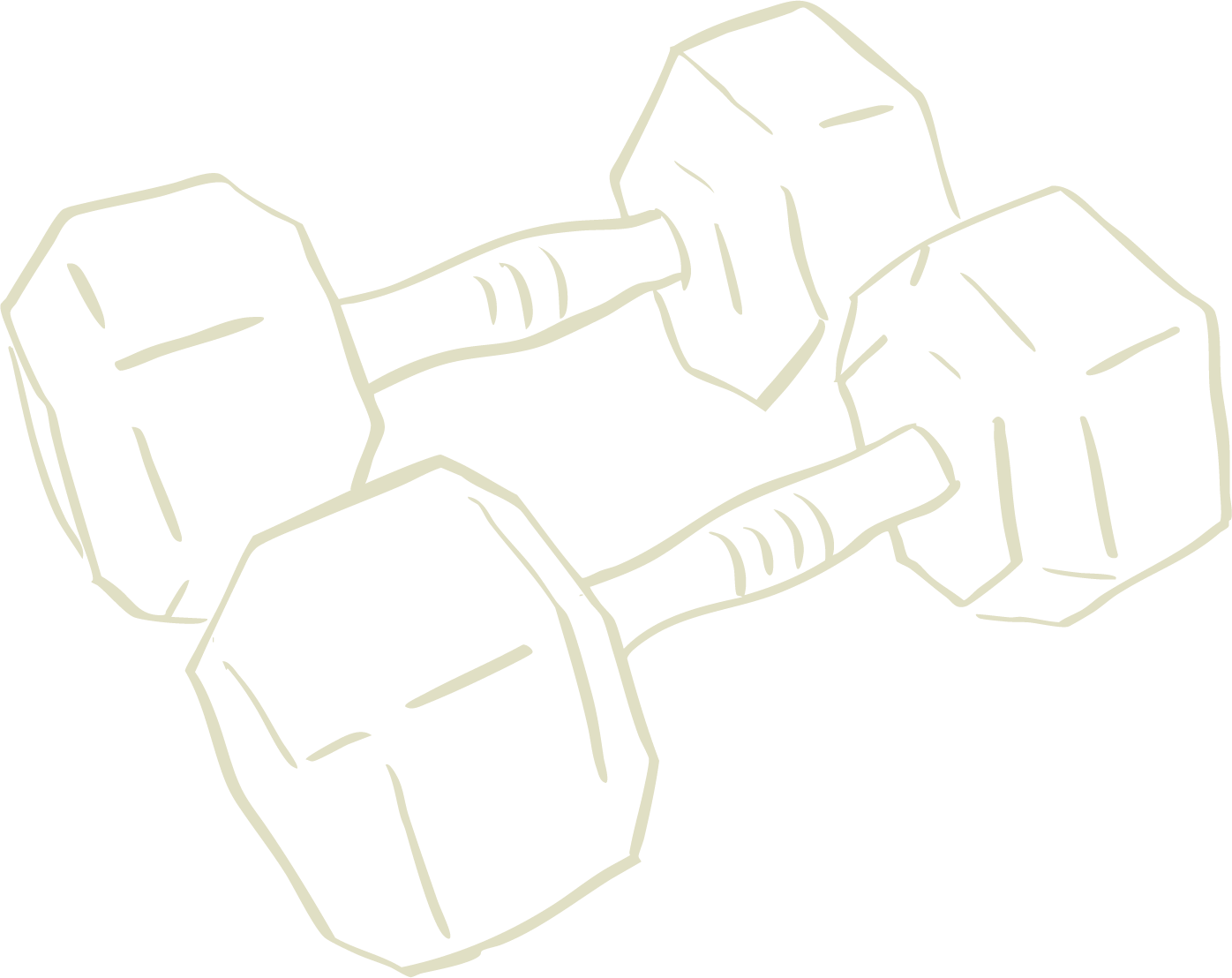 Outline drawing of a dumbbell with four weight plates, two on each end, on a black background.