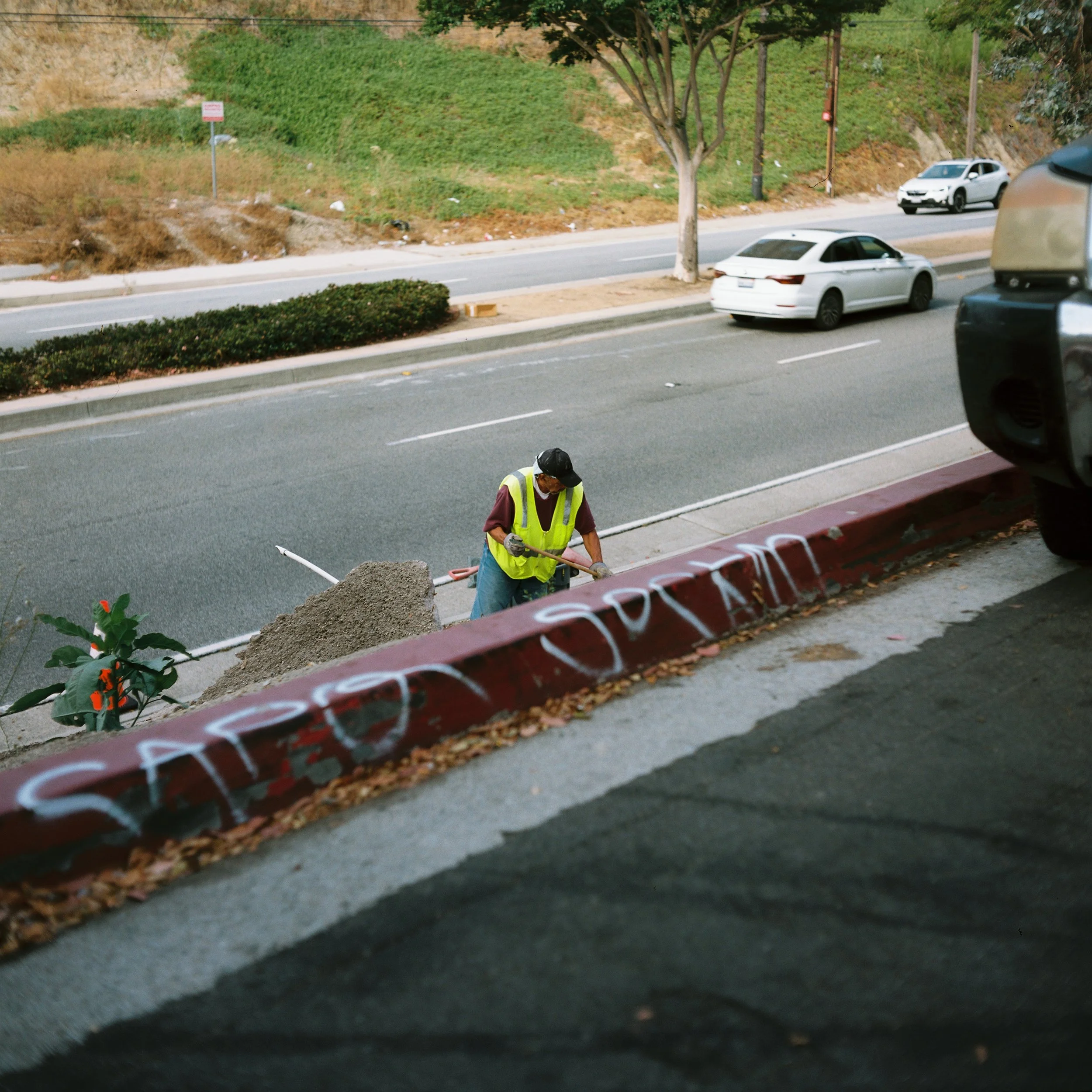 Mamiya Roll 2_Shot 1.jpg