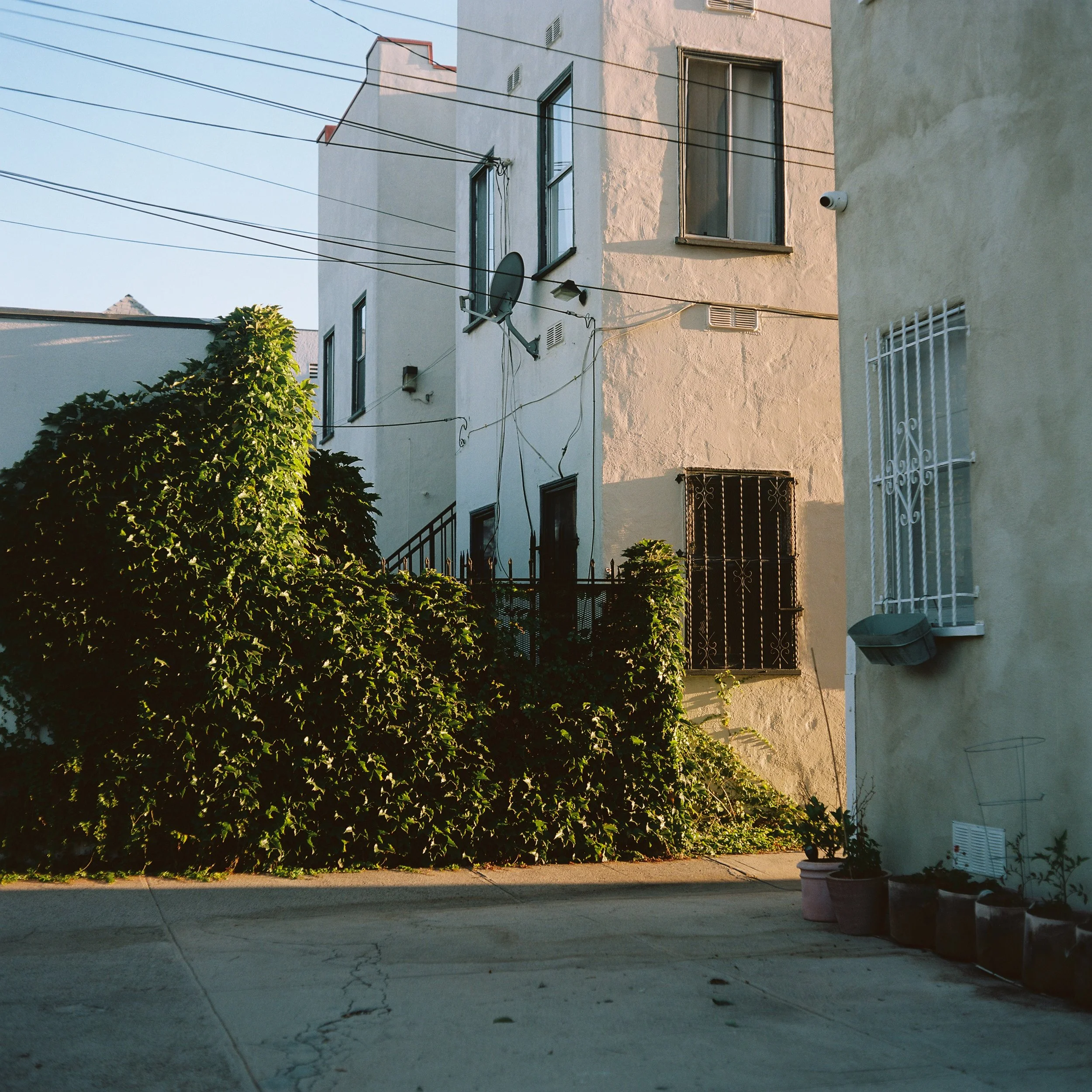 Mamiya Roll 2_Shot 2.jpg