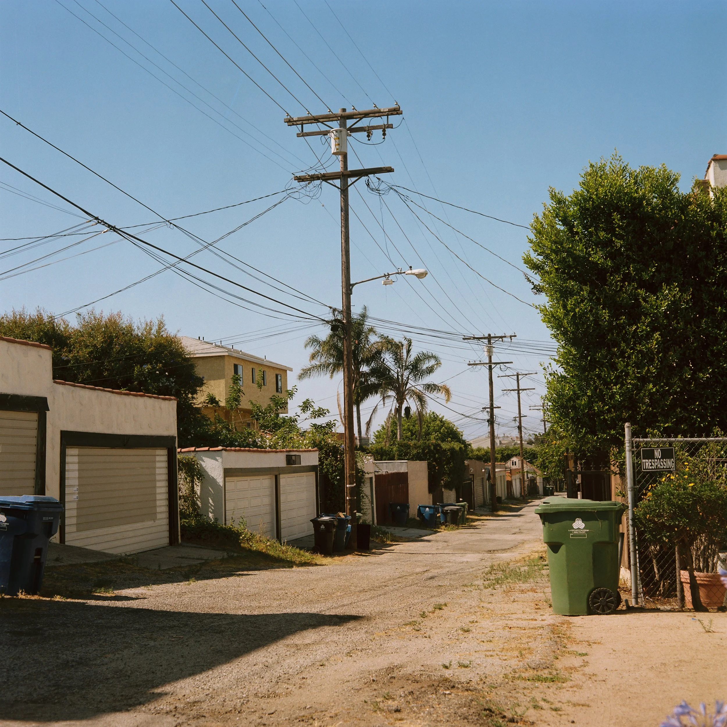 Mamiya Roll 2_Shot 4.jpg