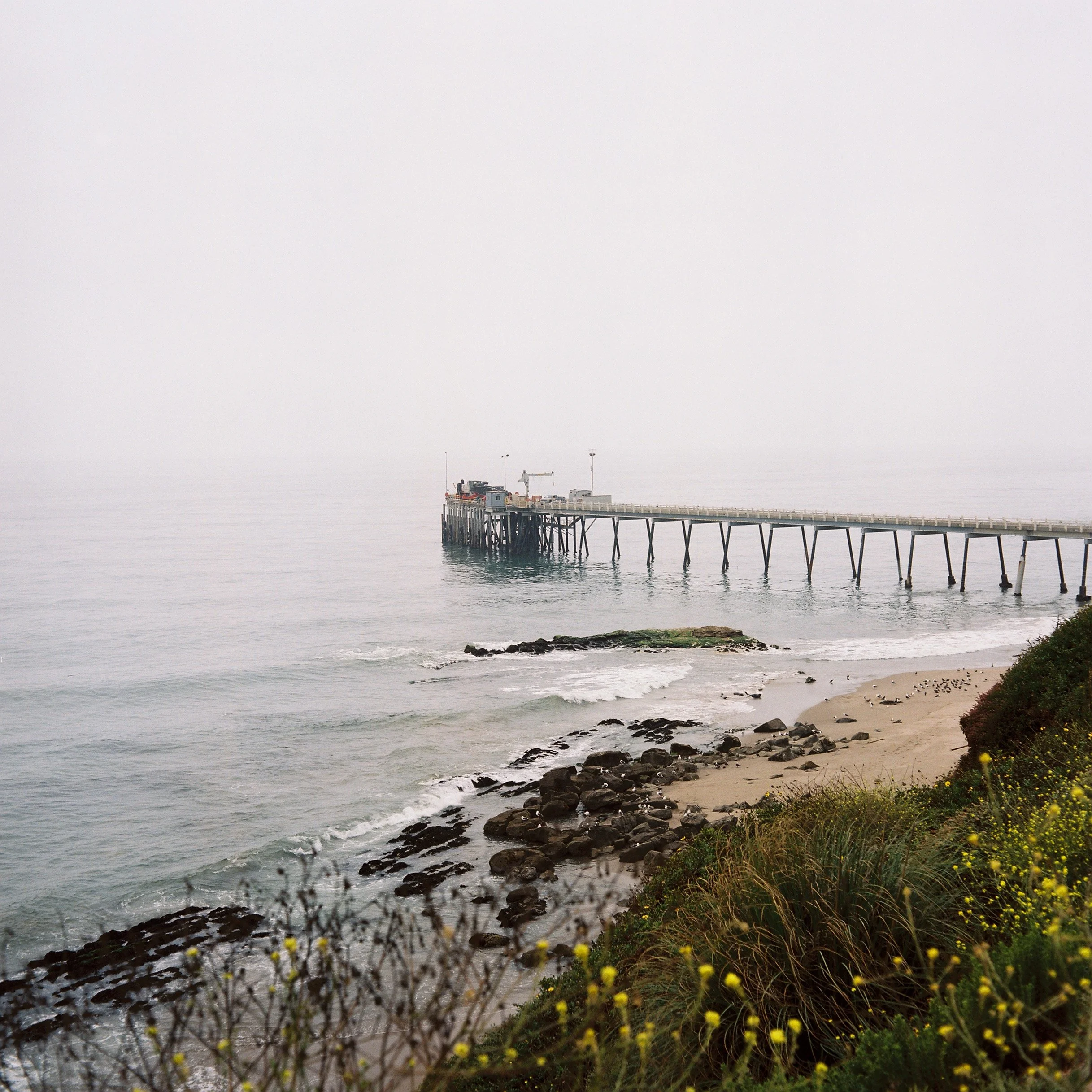 A Good Life is Mostly Coming Home, Bay Area Dock, 2025