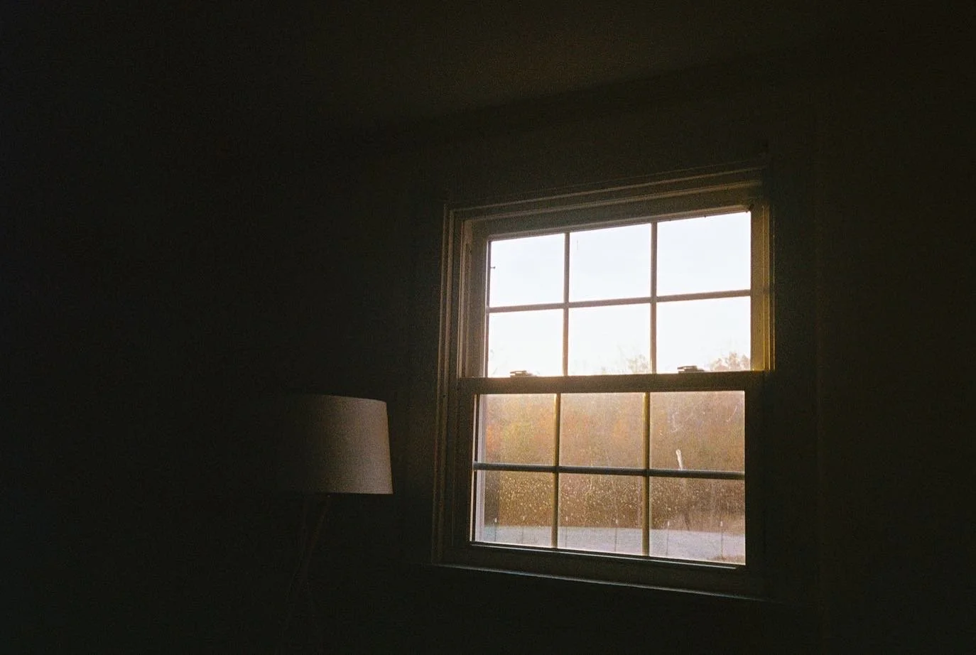 A Good Life is Mostly COming Home, Forever Forgotten, 2023