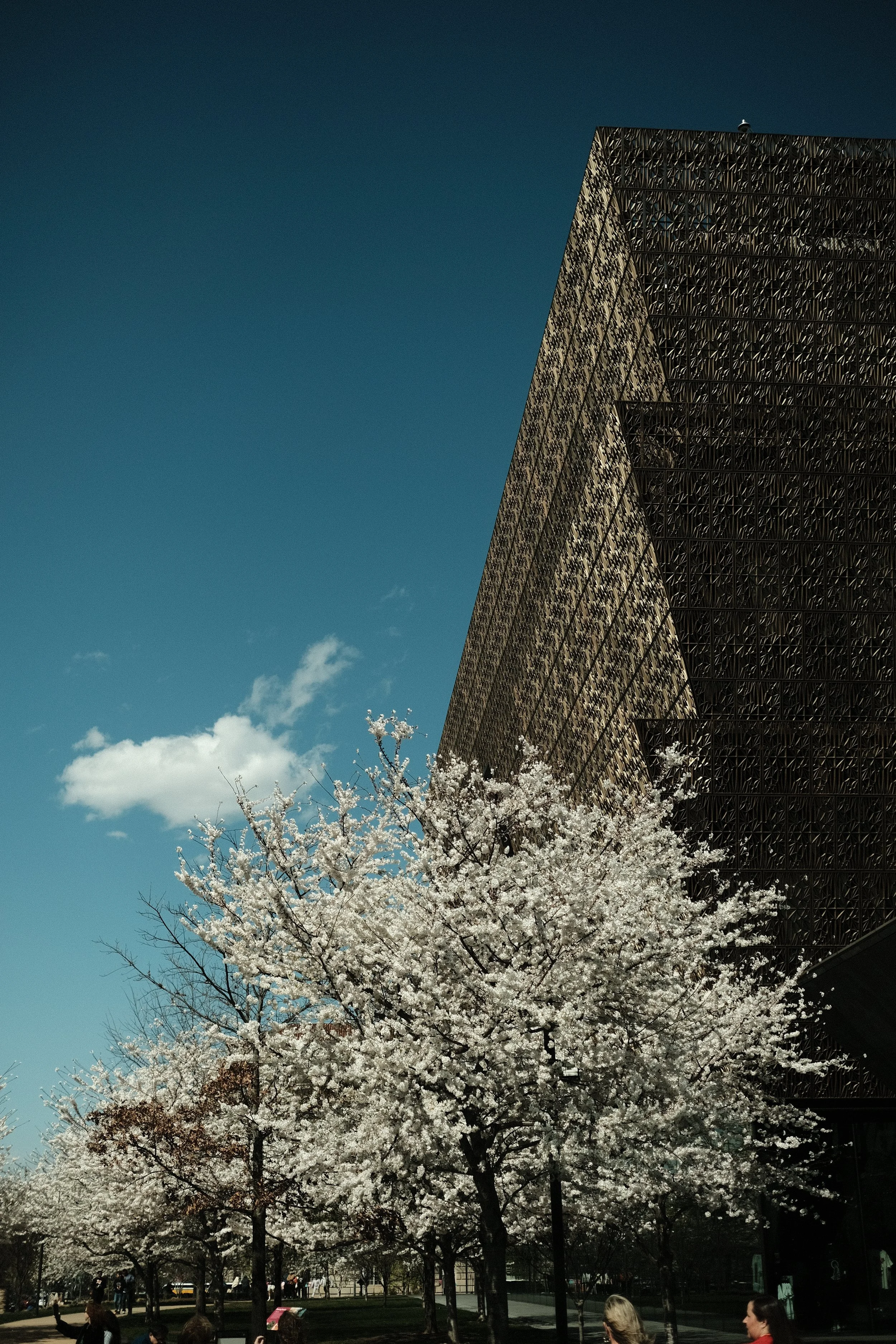 DSCF1751.JPG