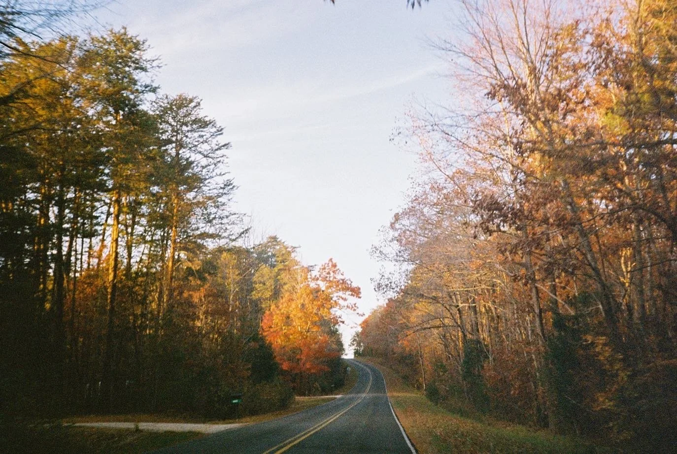 A Good Life is Mostly Coming Home, This is the place I forgot you, 2022
