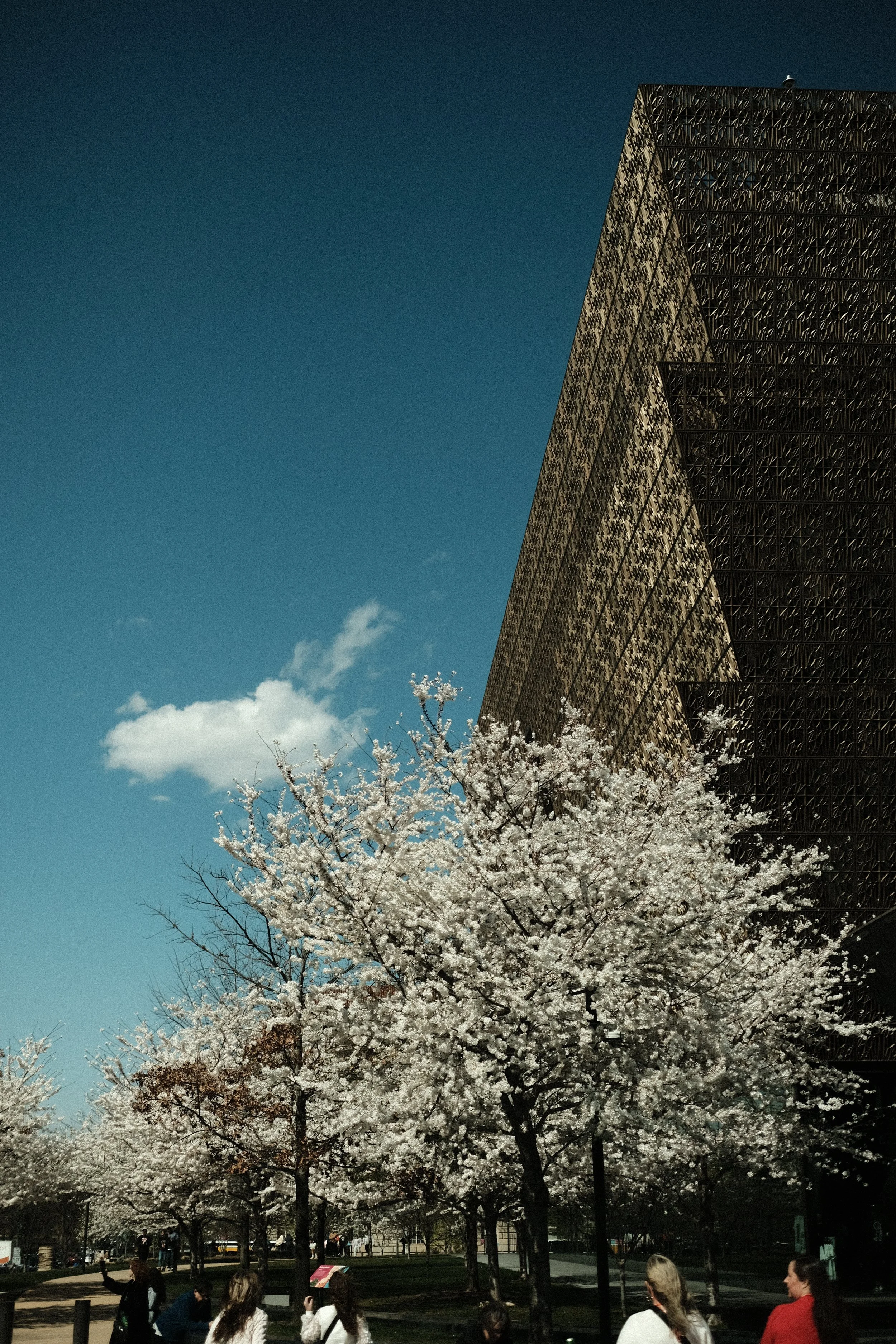 DSCF1752.JPG