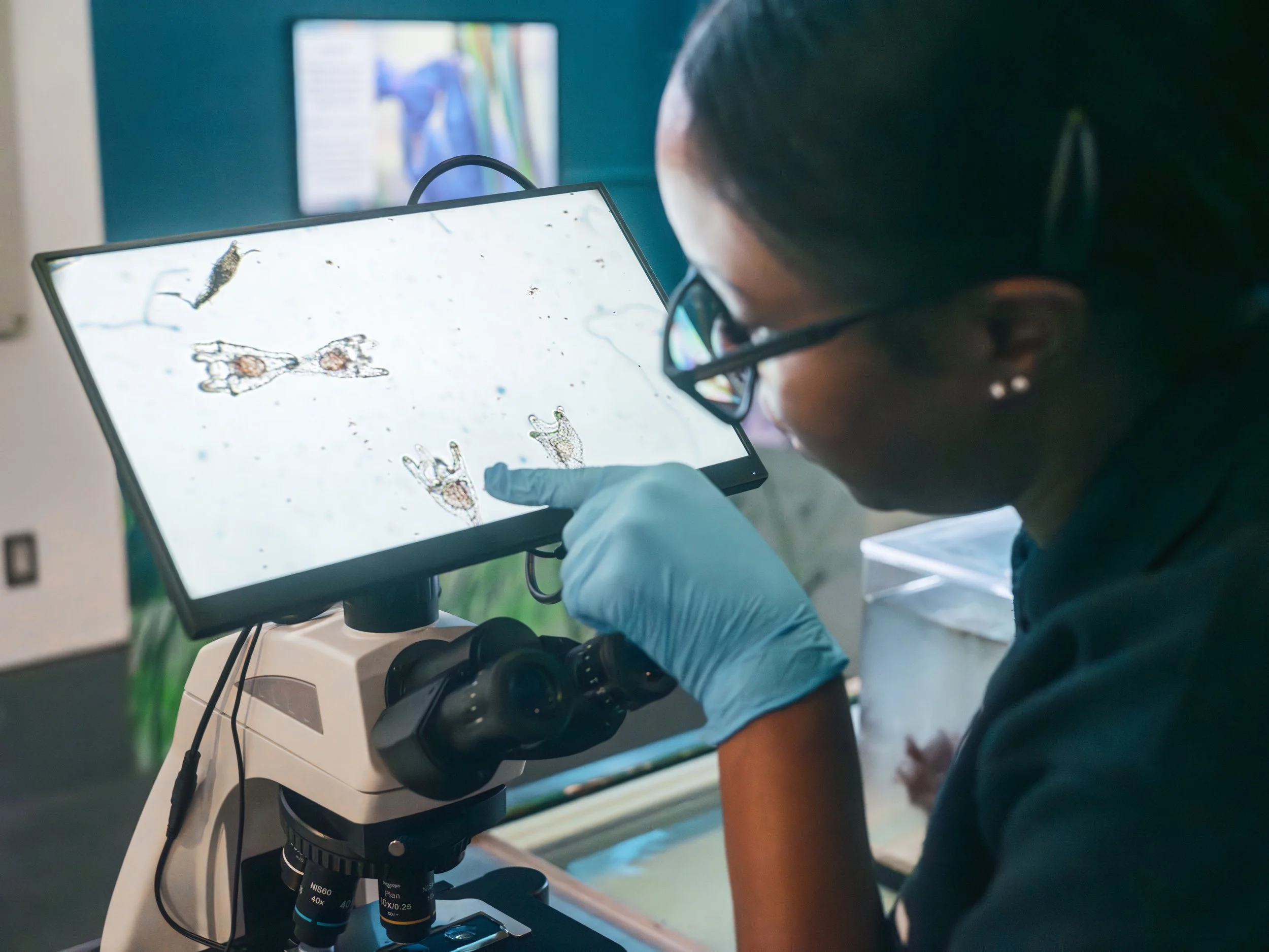 Black in the Blue, Brittney Cleveland tending to microorganisms, 2025