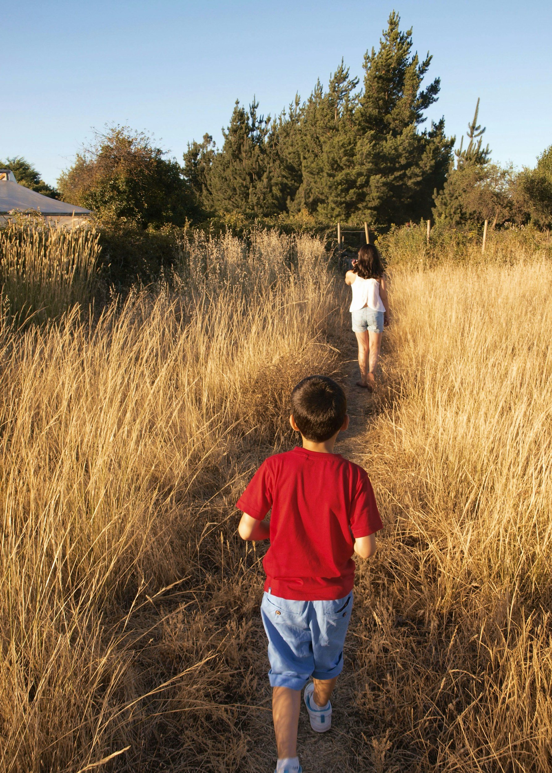 Child and adolescent psychiatry. Child and Adolescent psychiatrist