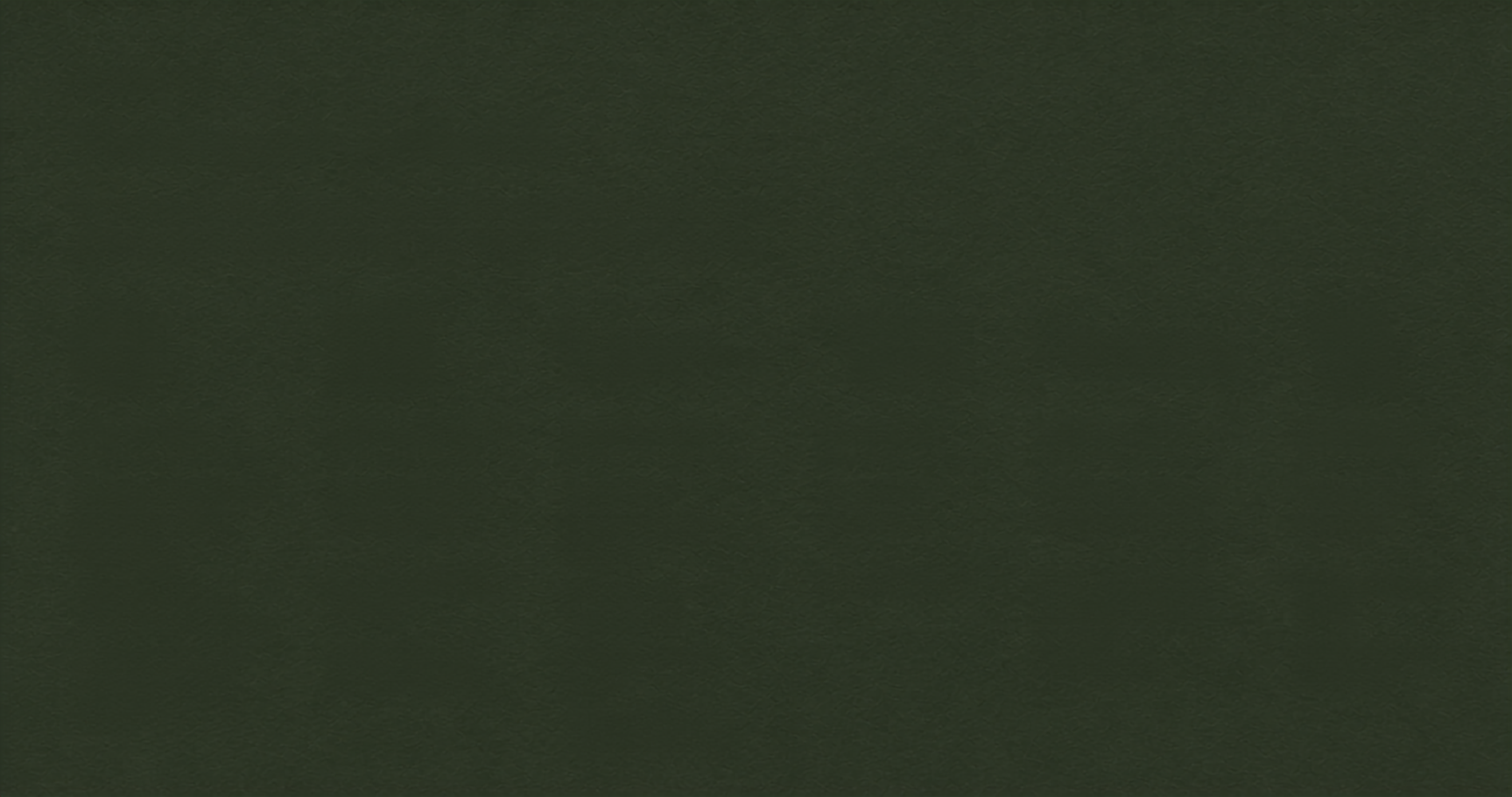 Dark green textured surface or background