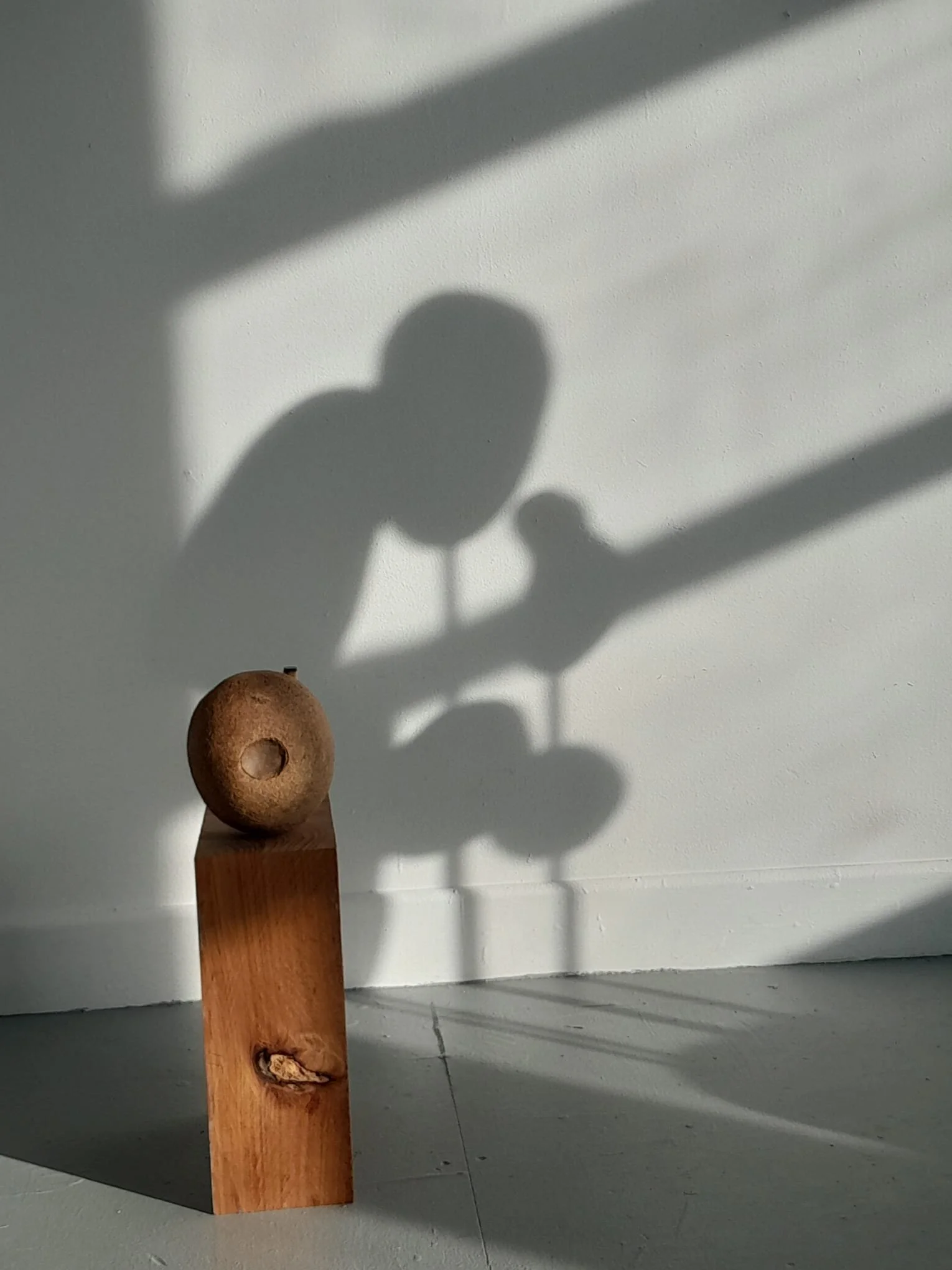 2 June Where we stand -shadows.jpeg