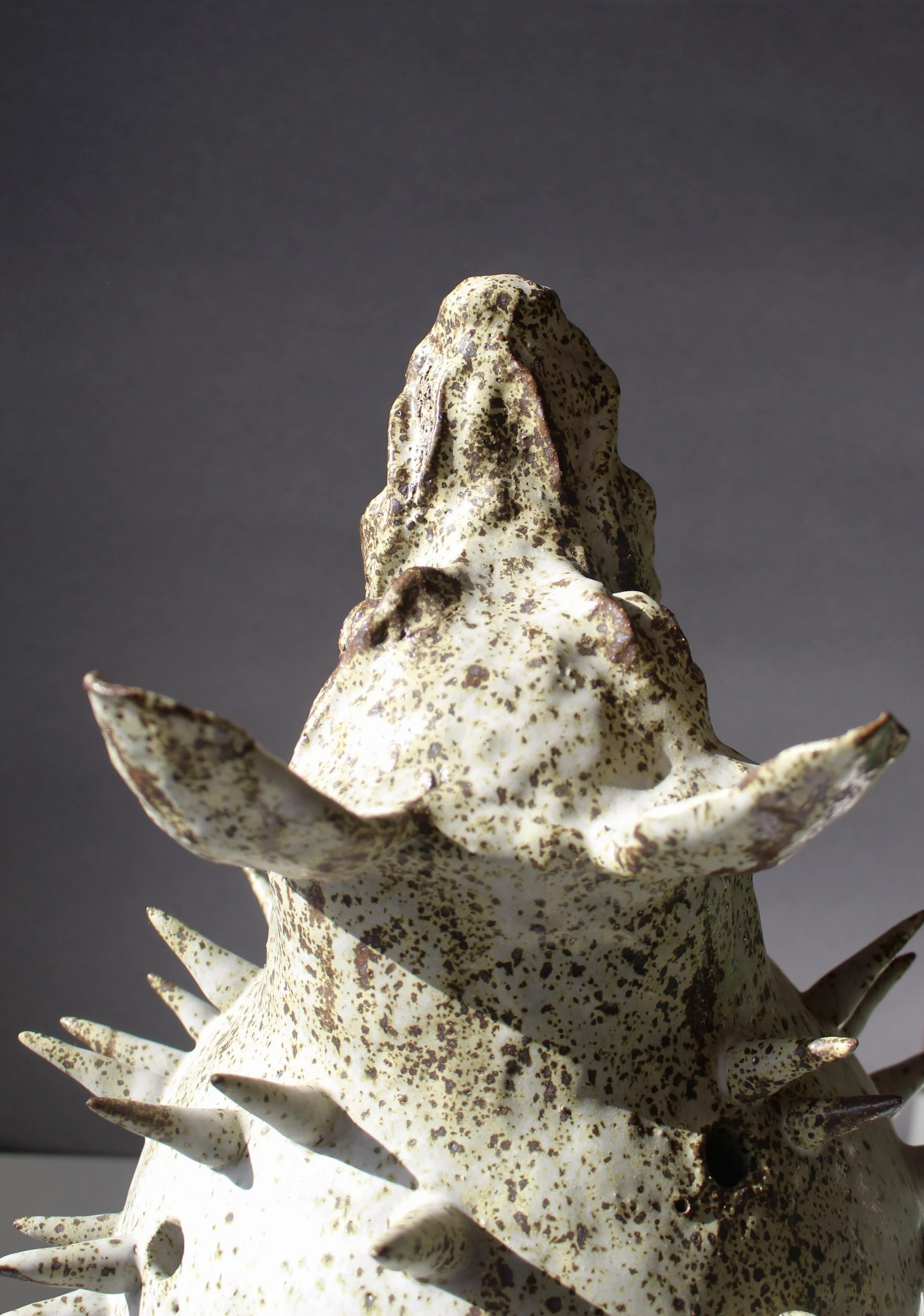 Hand made ceramic vase by contemporary ceramic artist Anna Fox
