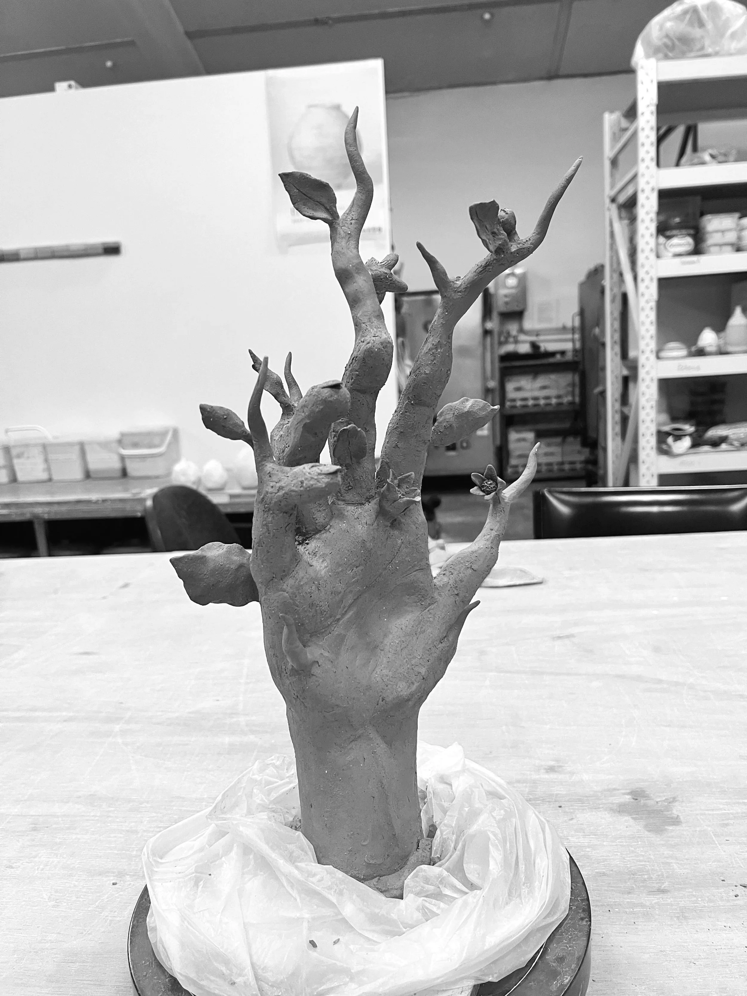 A pottery piece being made in a ceramic studio. The sculpture is of a hand of the nymph daphne with tree branches coming off it.