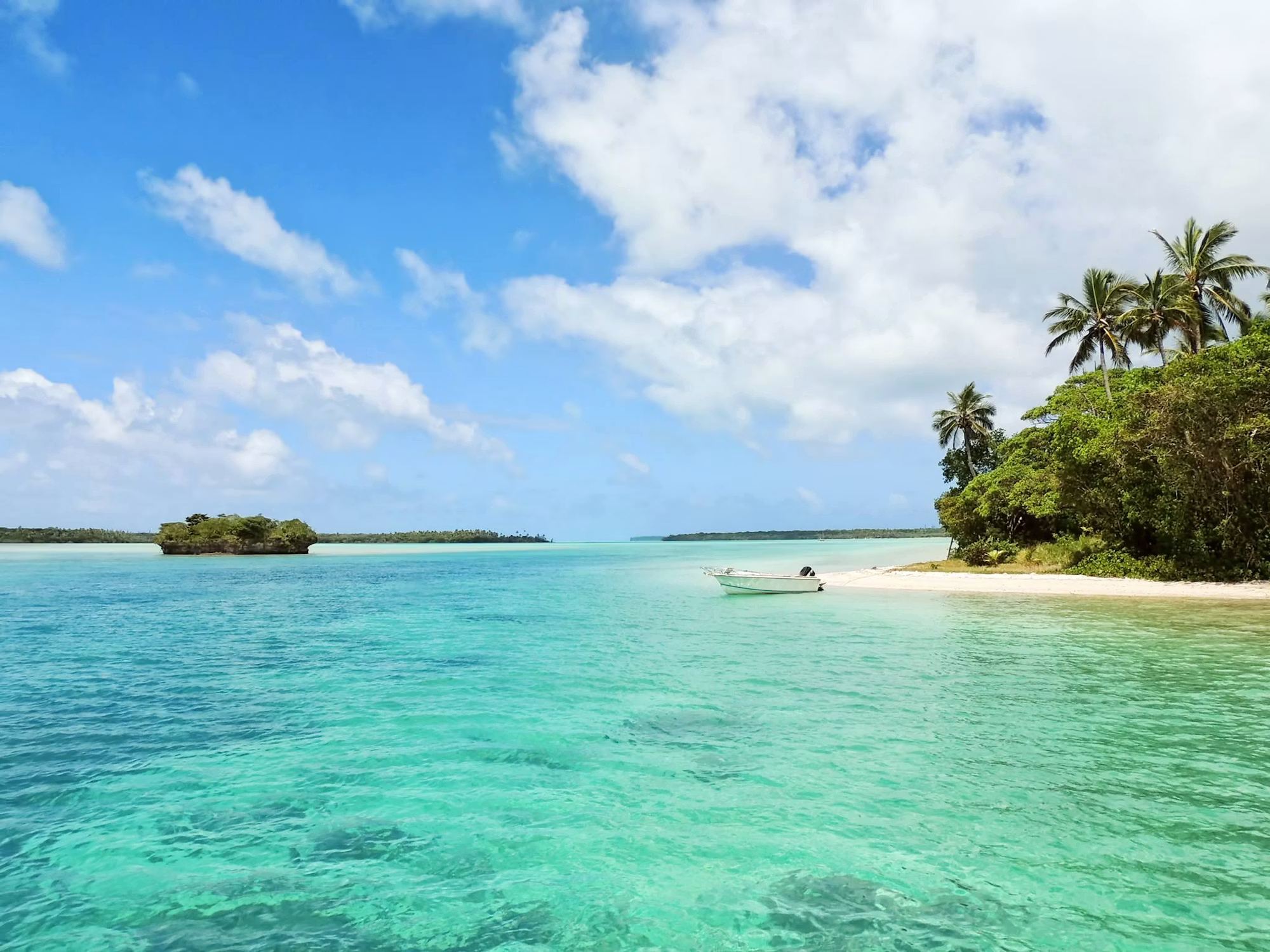 Vista de playa tropical con agua cristalina, palmeras y cielo azul con nubes blancas.