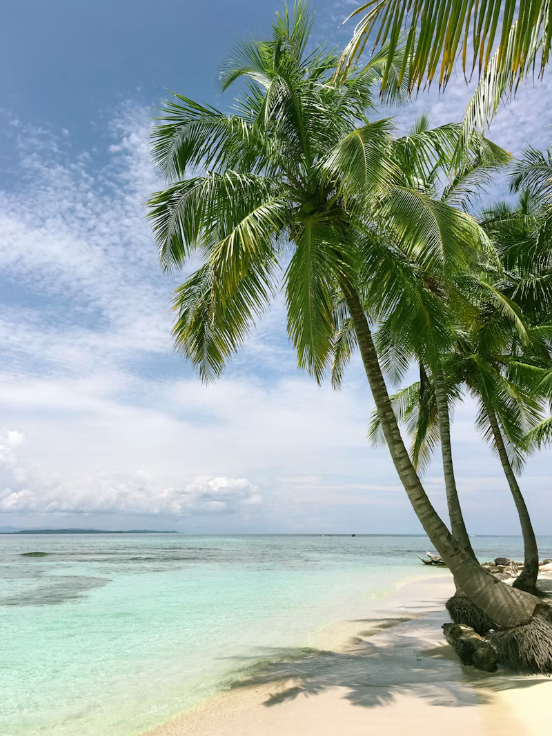 Palmeras en una playa de arena blanca y agua cristalina con cielo parcialmente nublado.