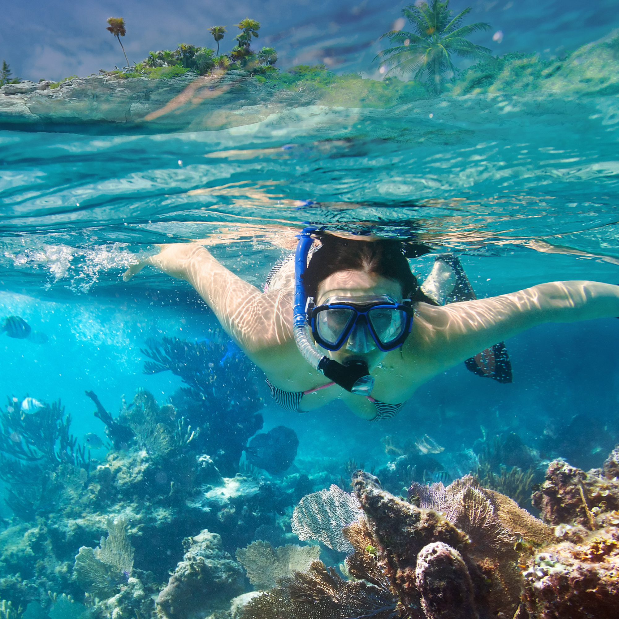 Persona haciendo snorkel en el arrecife de coral con aguas claras y tropicales, rodeada de corales y peces.