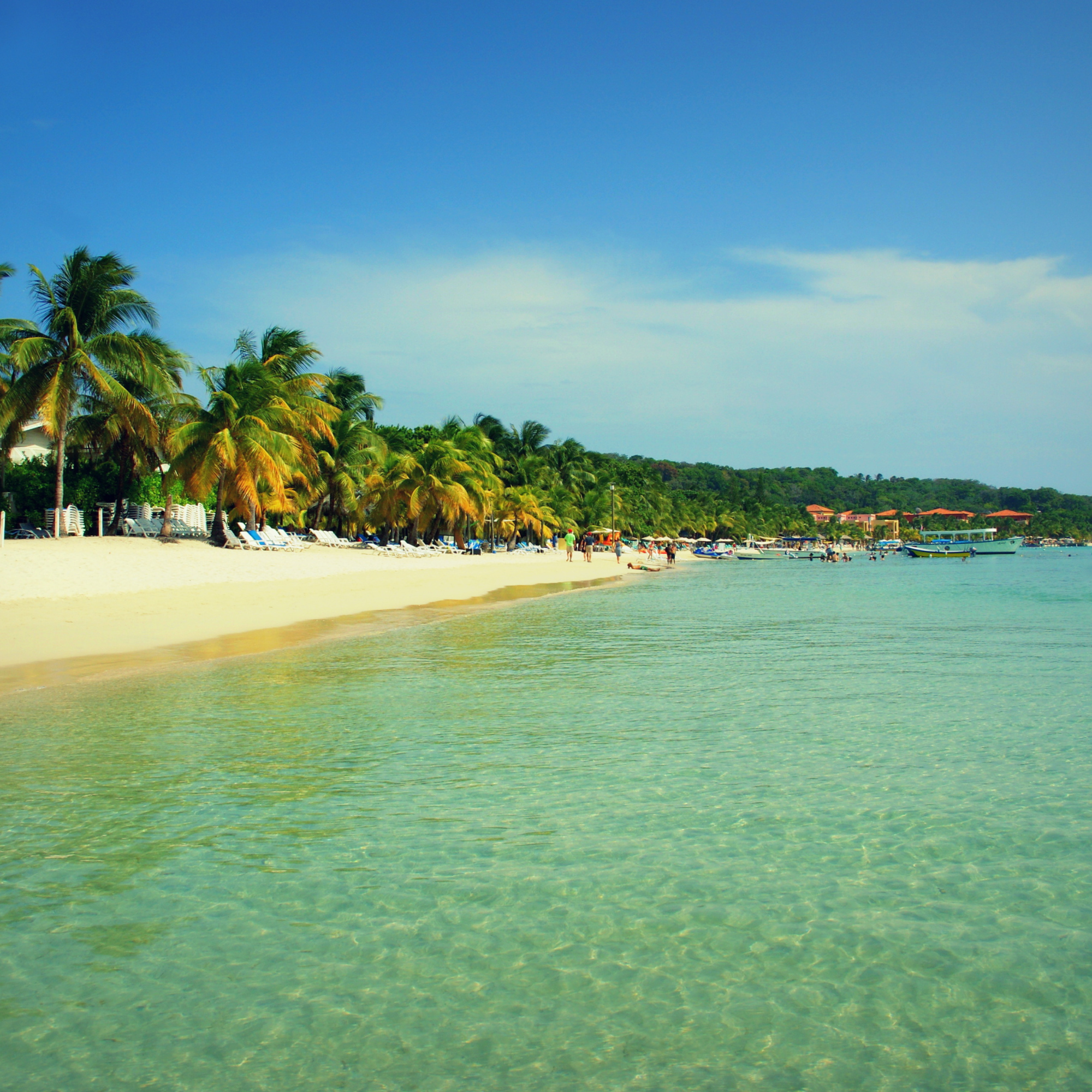 Playa con hamacas, palmeras y botes en el agua, cielo despejado
