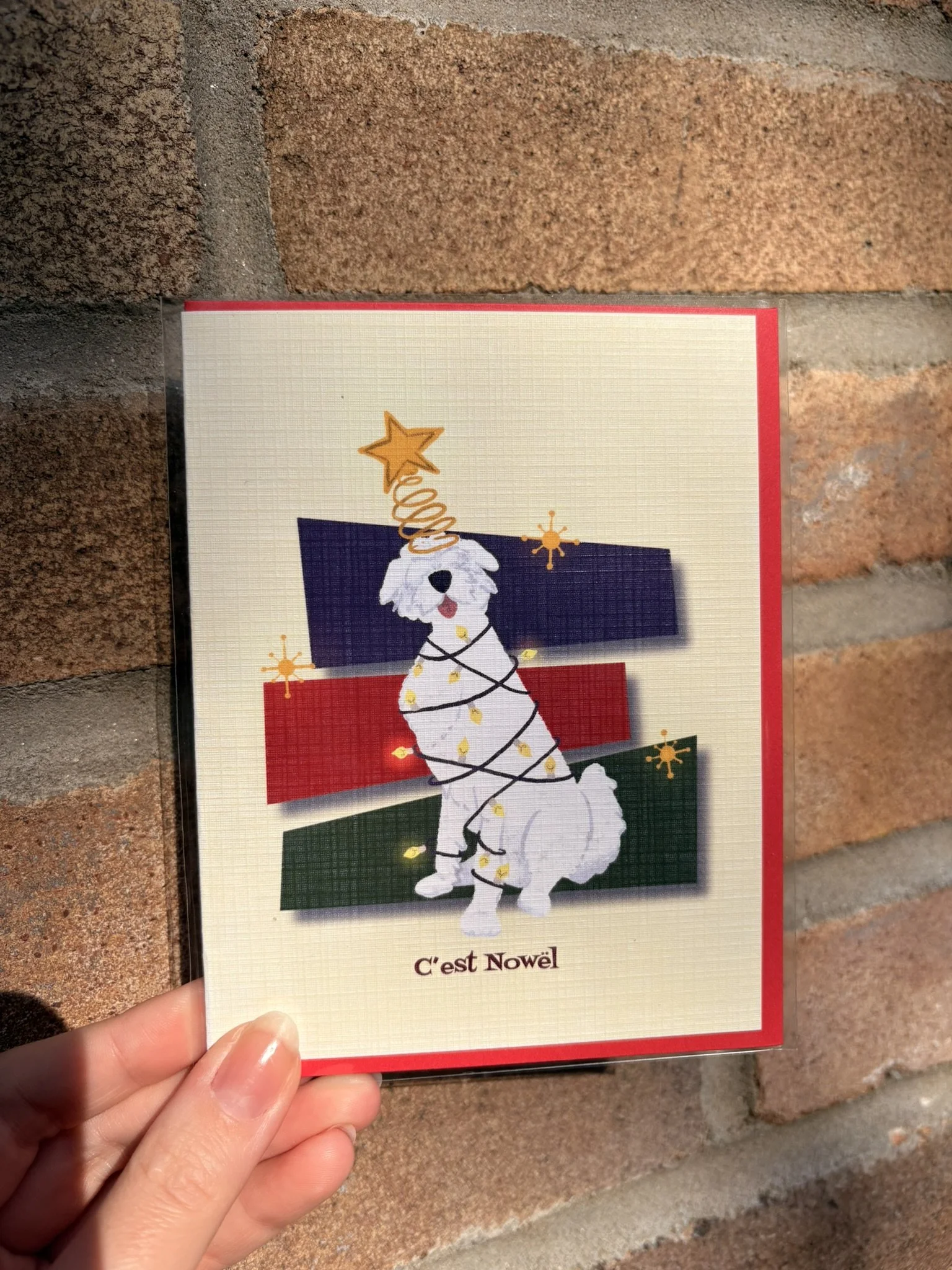 Carte de Souhait - Joyeux Nowel!