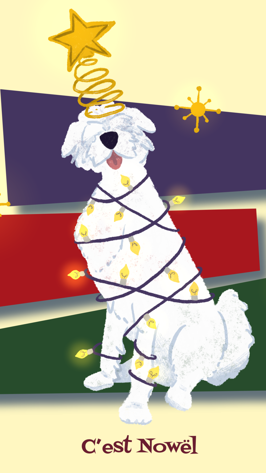 IMG_1542.png