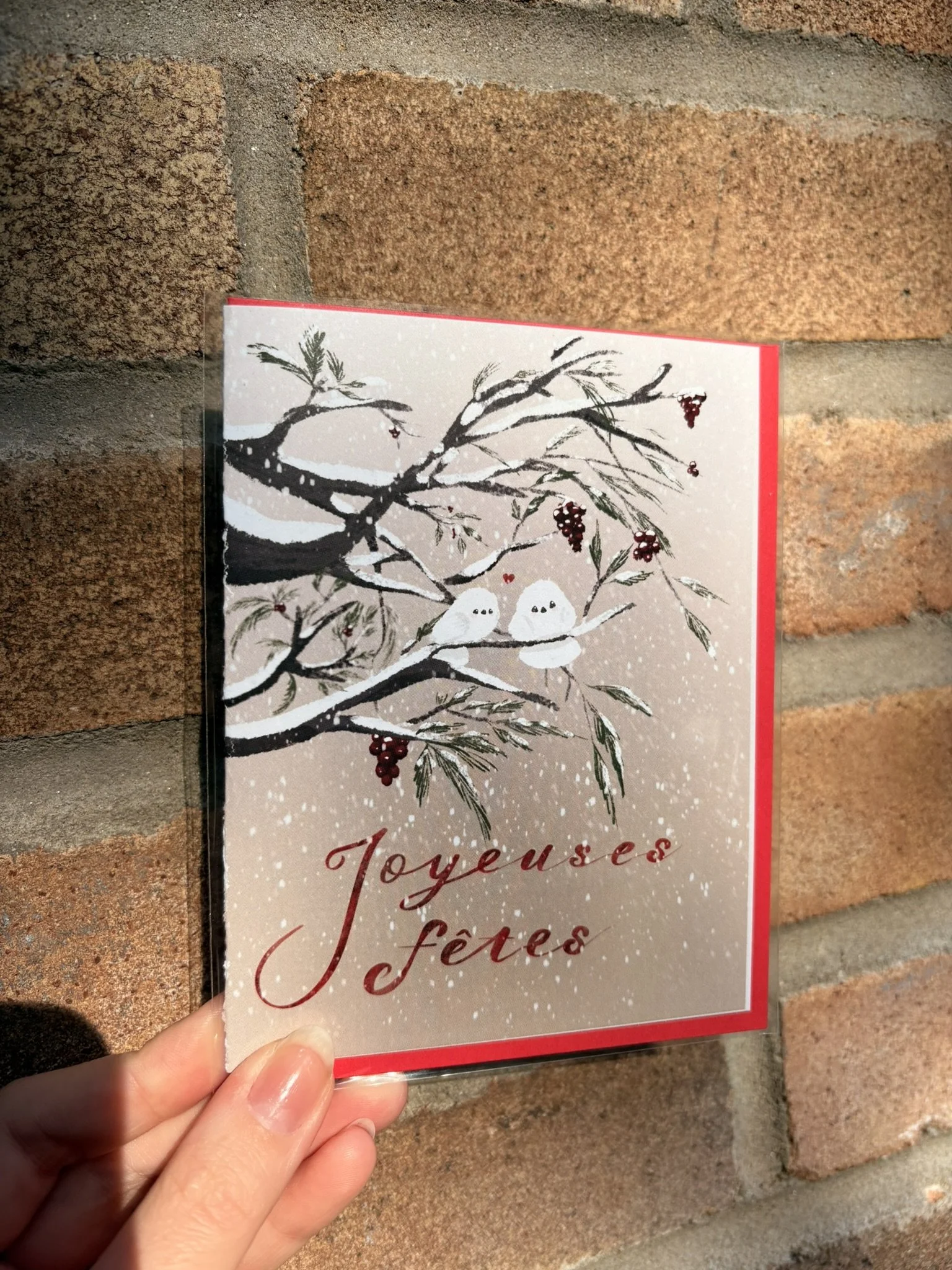 Carte de Souhait - Joyeuses fêtes Oiseaux