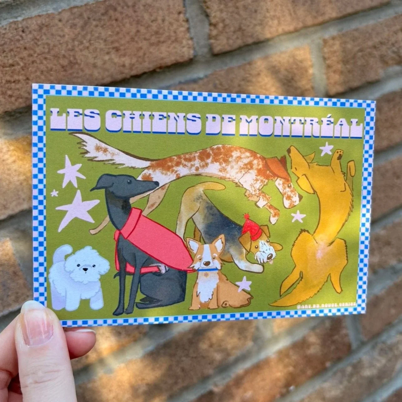 Carte Postale - Les Chiens de Montréal
