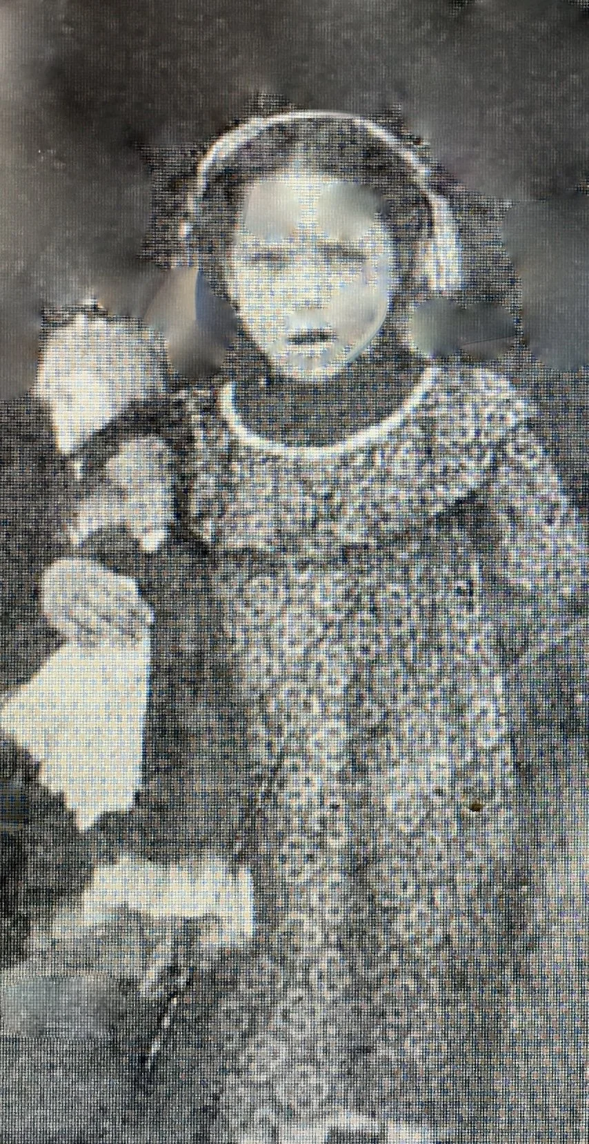 Mary Emma Polly Holbrook.jpg