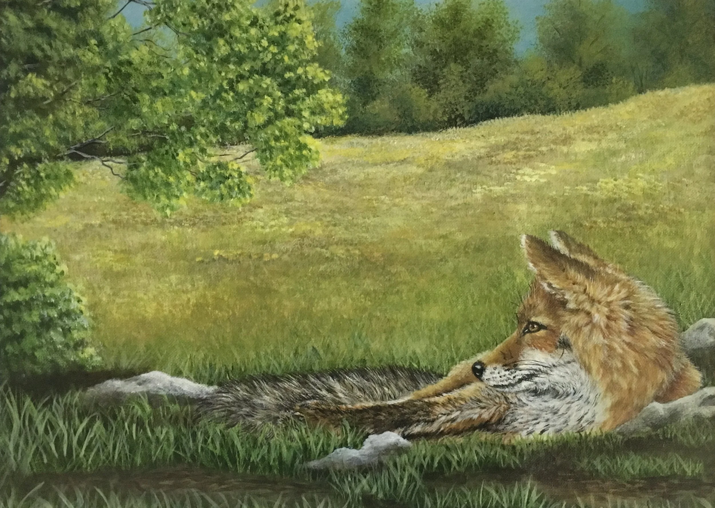 Painting of a fox lying on the grass in a natural setting with trees and rocks in the background.