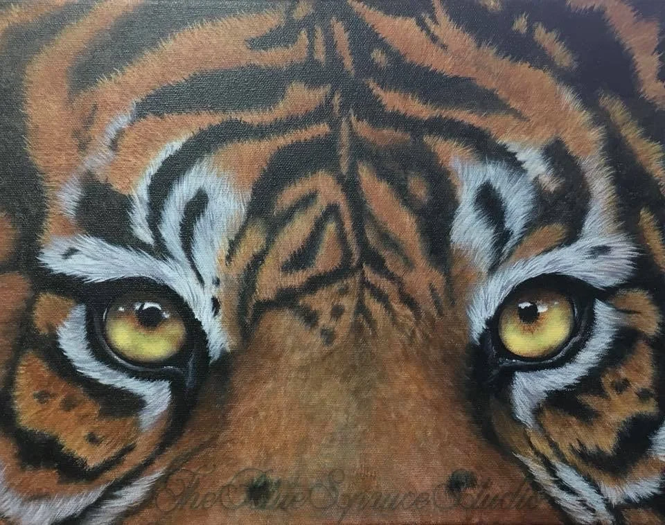 Close-up of a tiger's face, highlighting its yellow eyes and distinctive orange and black striped fur.