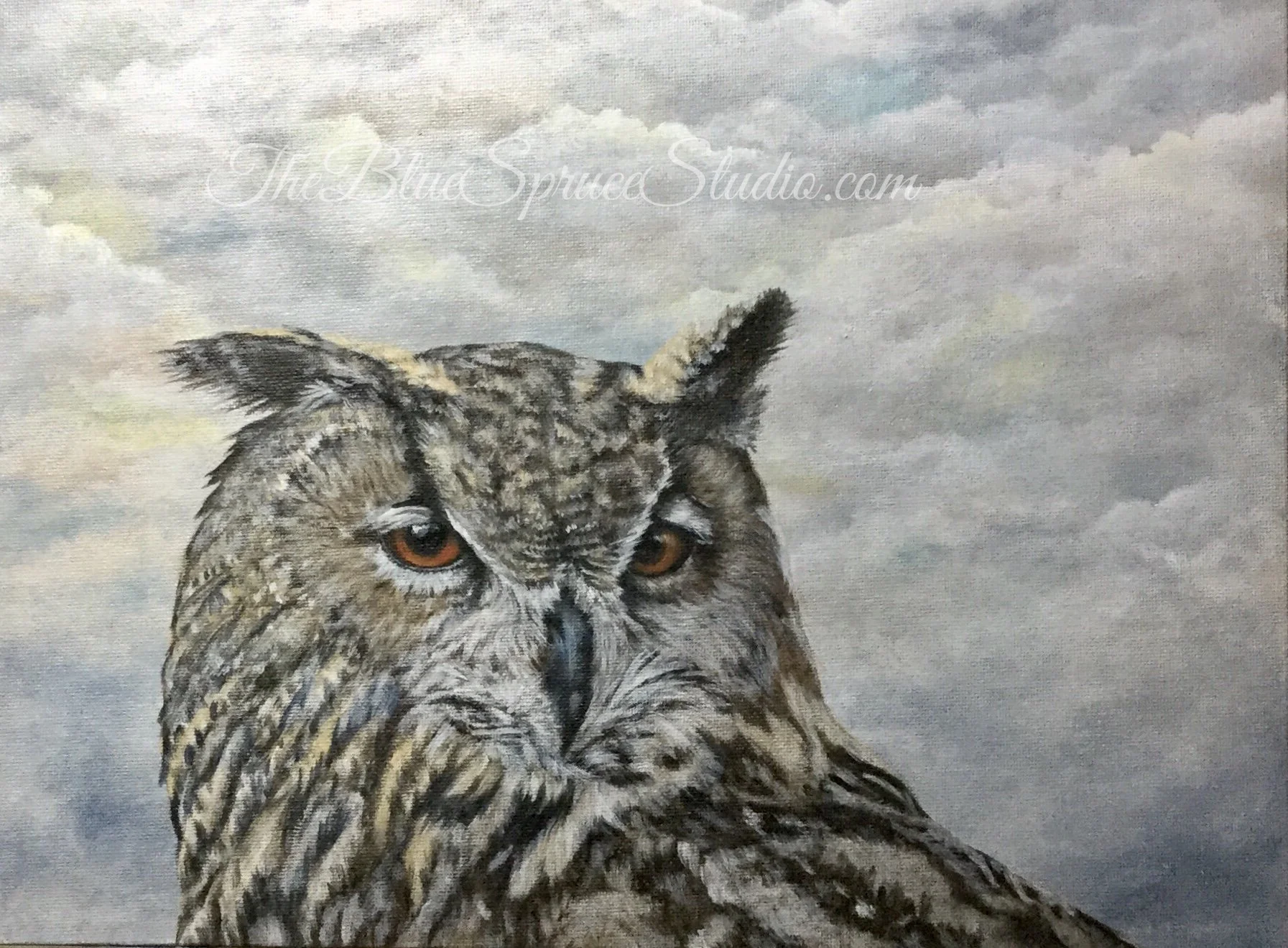 Close-up of an owl with orange eyes and brown, black, and white feathers, set against a cloudy sky background.