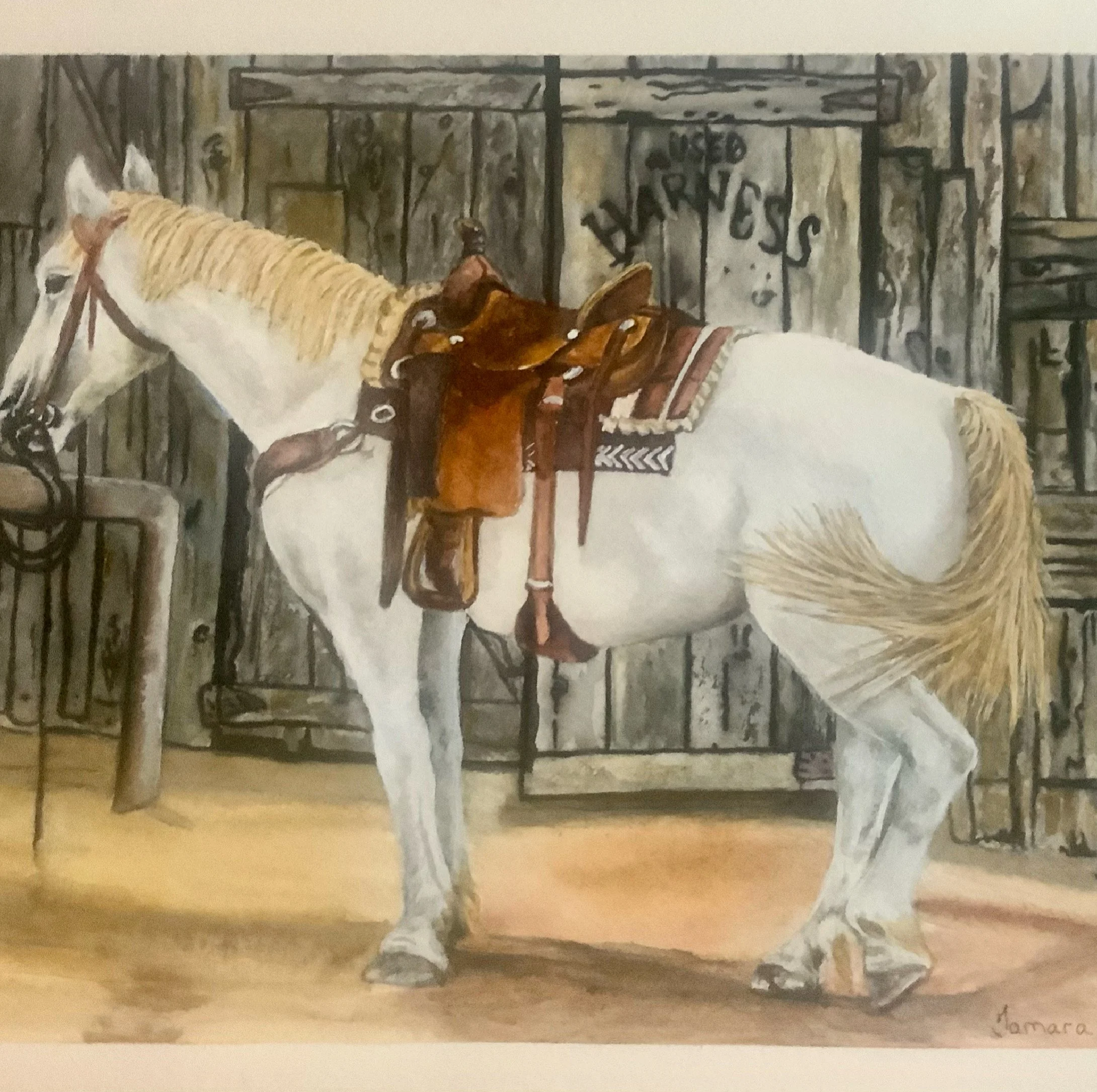 A watercolor painting of a white horse with a braided mane and a brown saddle, standing in front of a wooden fence and rustic background, with some handwritten text at the bottom.