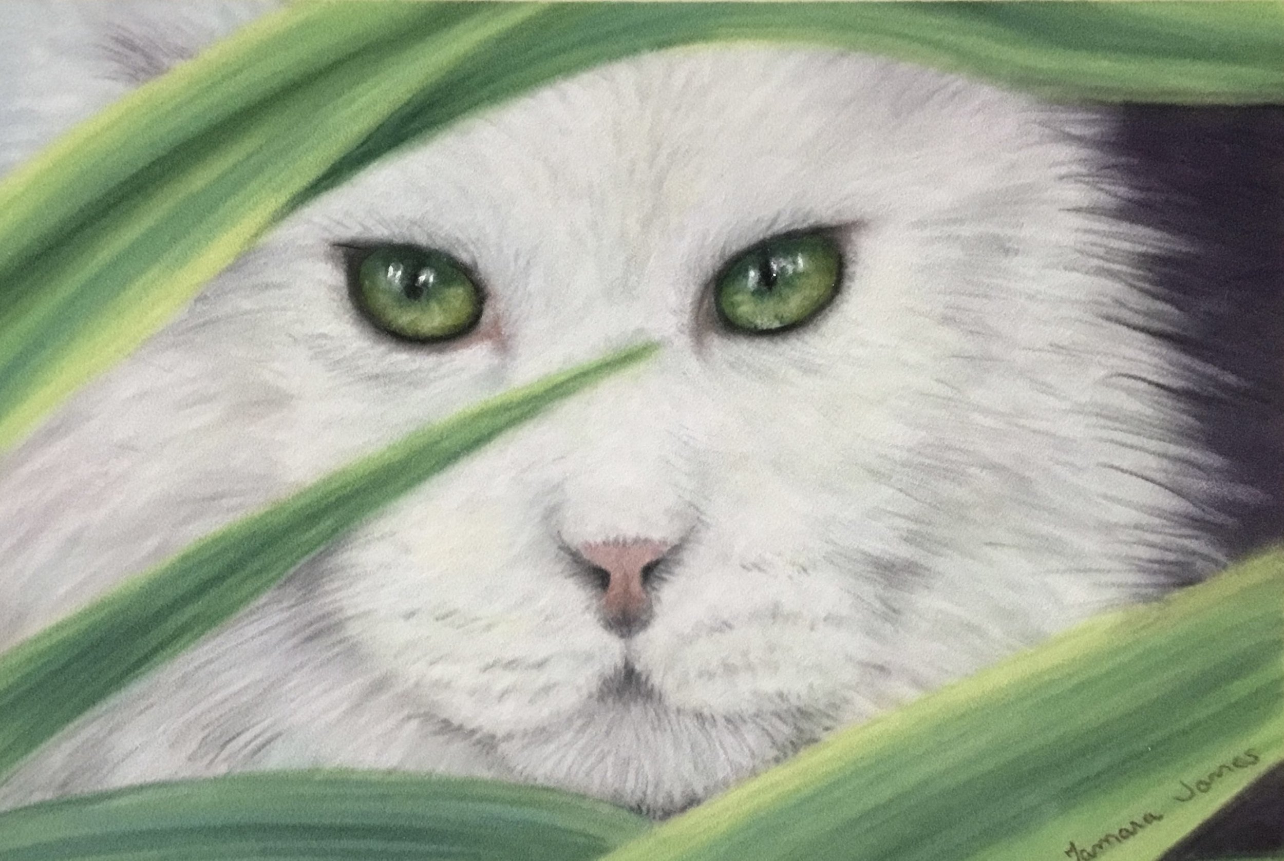 Close-up of a white and gray cat with green eyes, partially hidden behind green leaves.