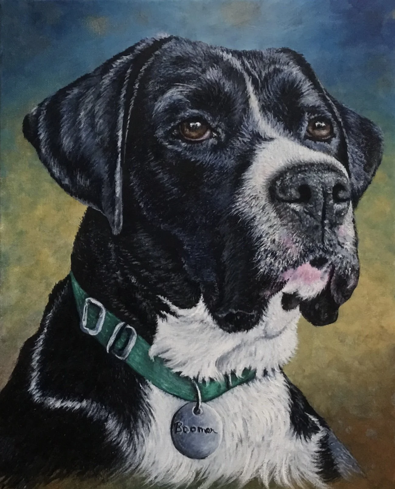 A realistic painting of a black and white dog with brown eyes, wearing a green collar with a silver tag that reads 'Boomer'. The background is blurred with shades of green and blue.