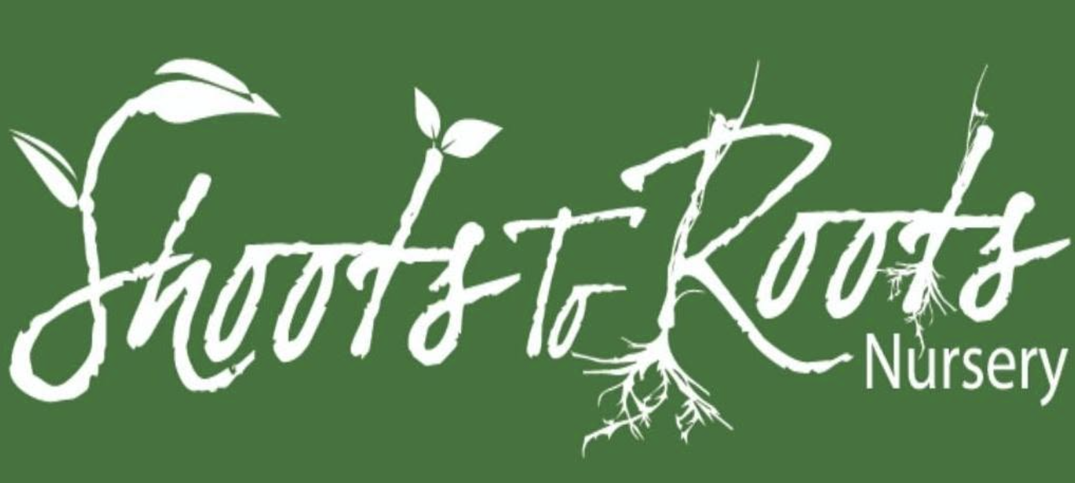 shootsnroots.png
