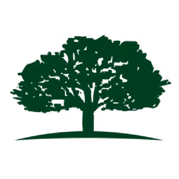 Silhouette of a large tree with a broad canopy on a slight hill.
