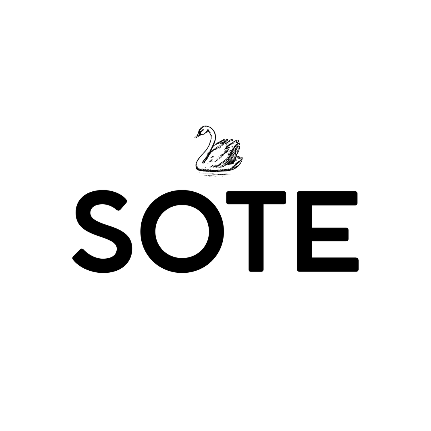 SOTE | Las Vegas Wedding Photographer