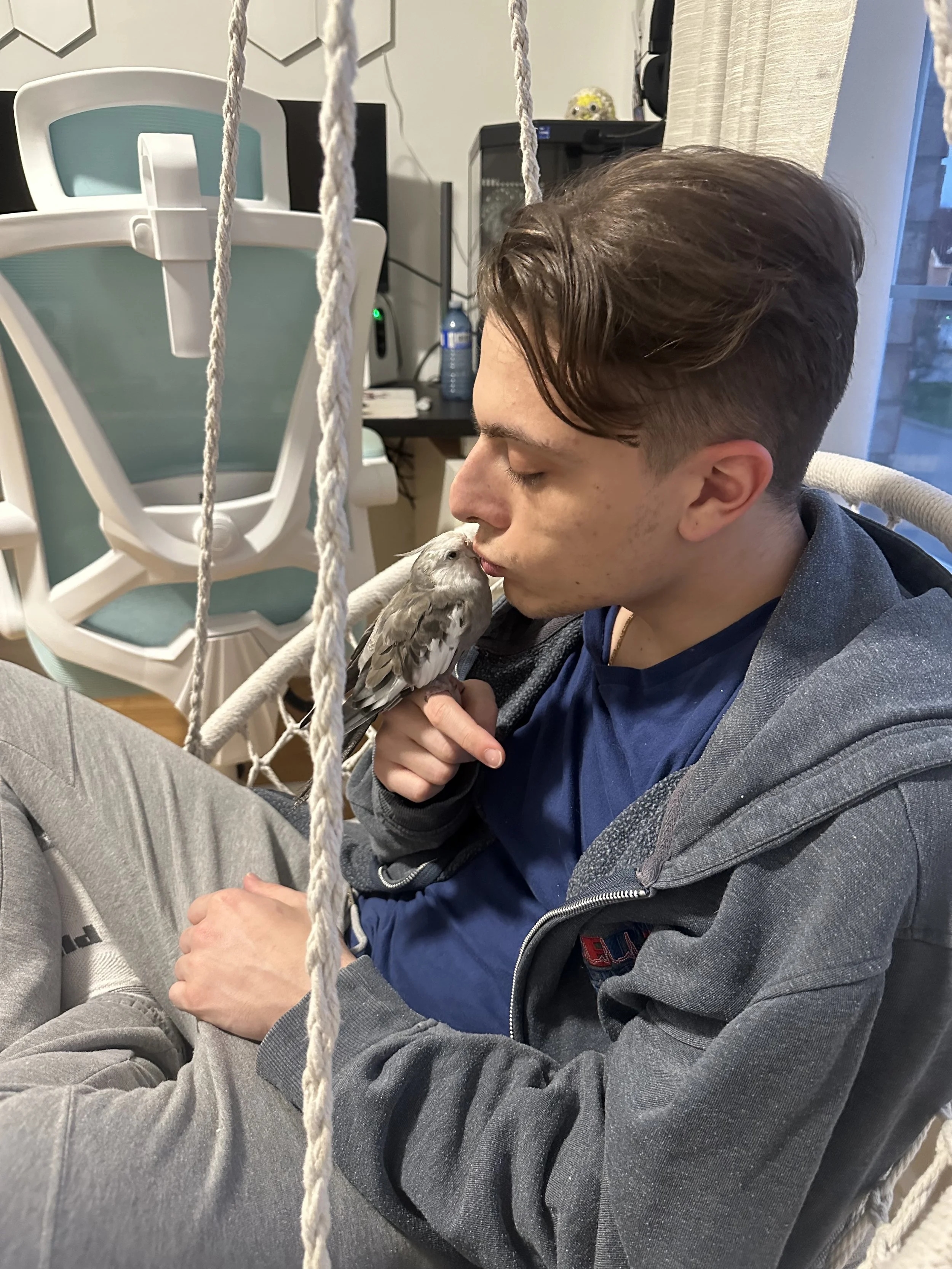 A young man with brown hair and a gray hoodie sitting in a room with a bird on his hand, which is near his face, and a swing in the foreground.