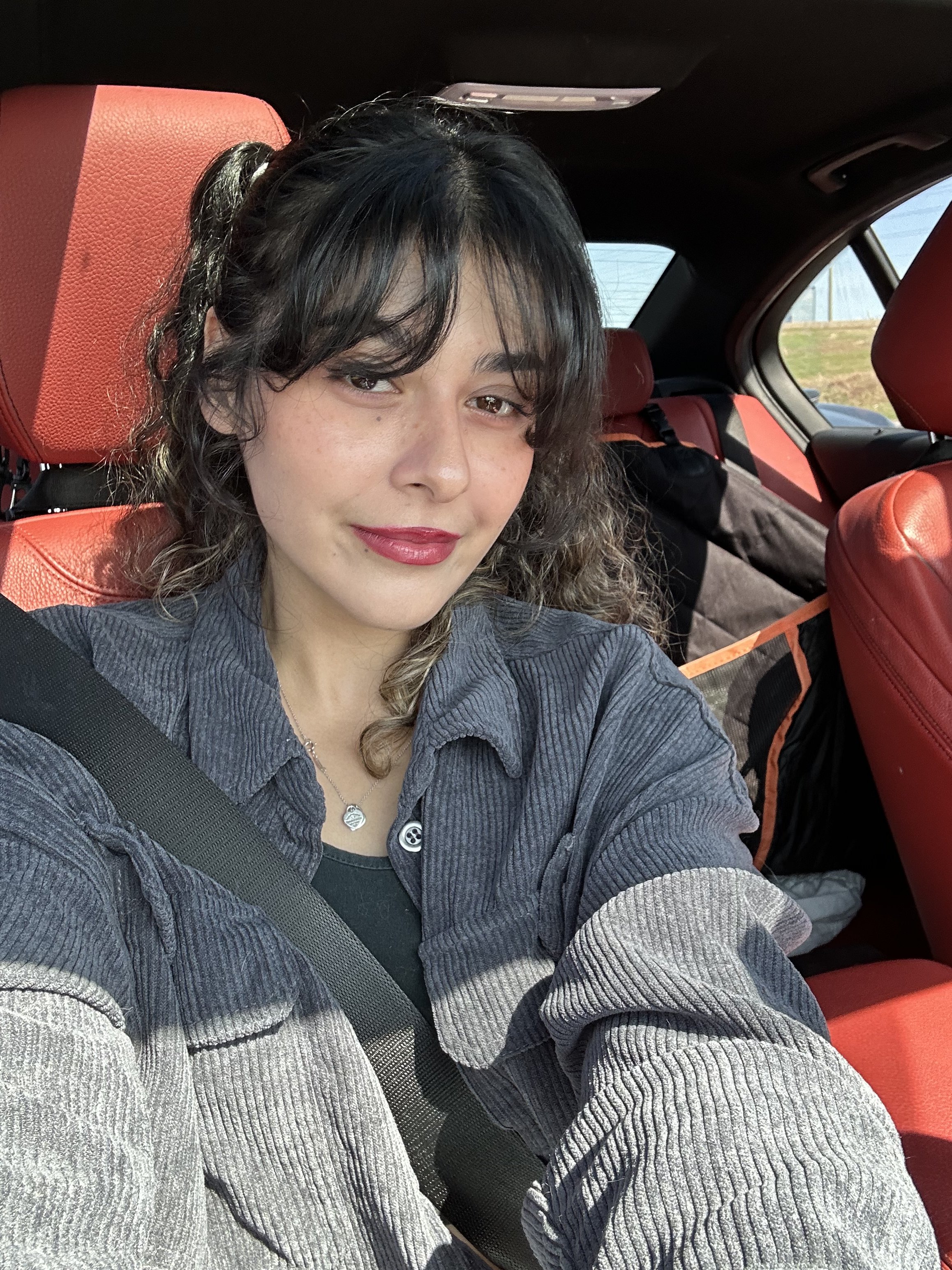 A woman with black, wavy hair, wearing a gray, ribbed sweater, sitting in the back seat of a car with red seats. The woman has a slight smile and is wearing a seatbelt, with a background view of a field and blue sky through the car window.