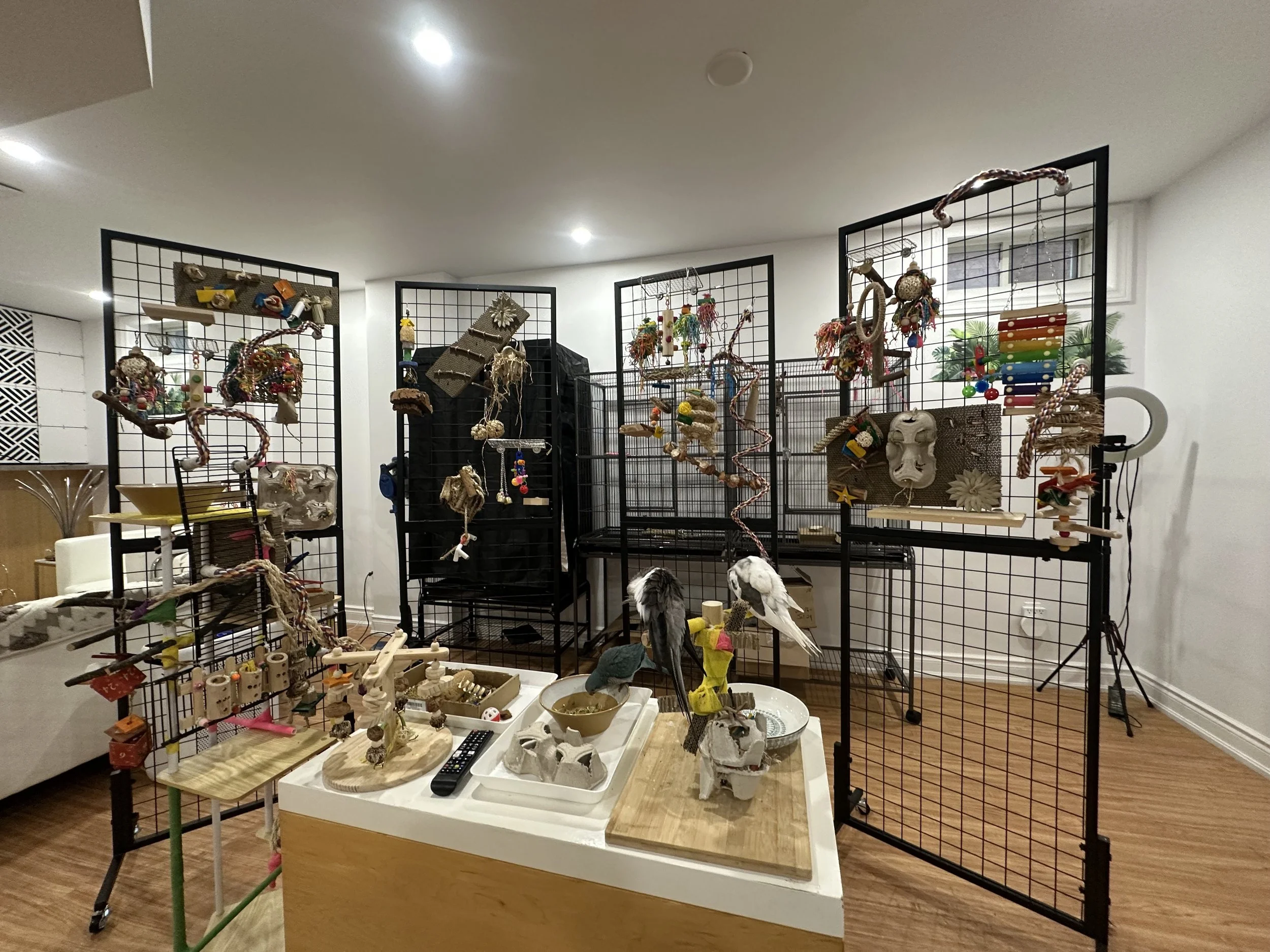 Display of various handmade pet toys on black wire grids and wooden tables in an indoor setting.