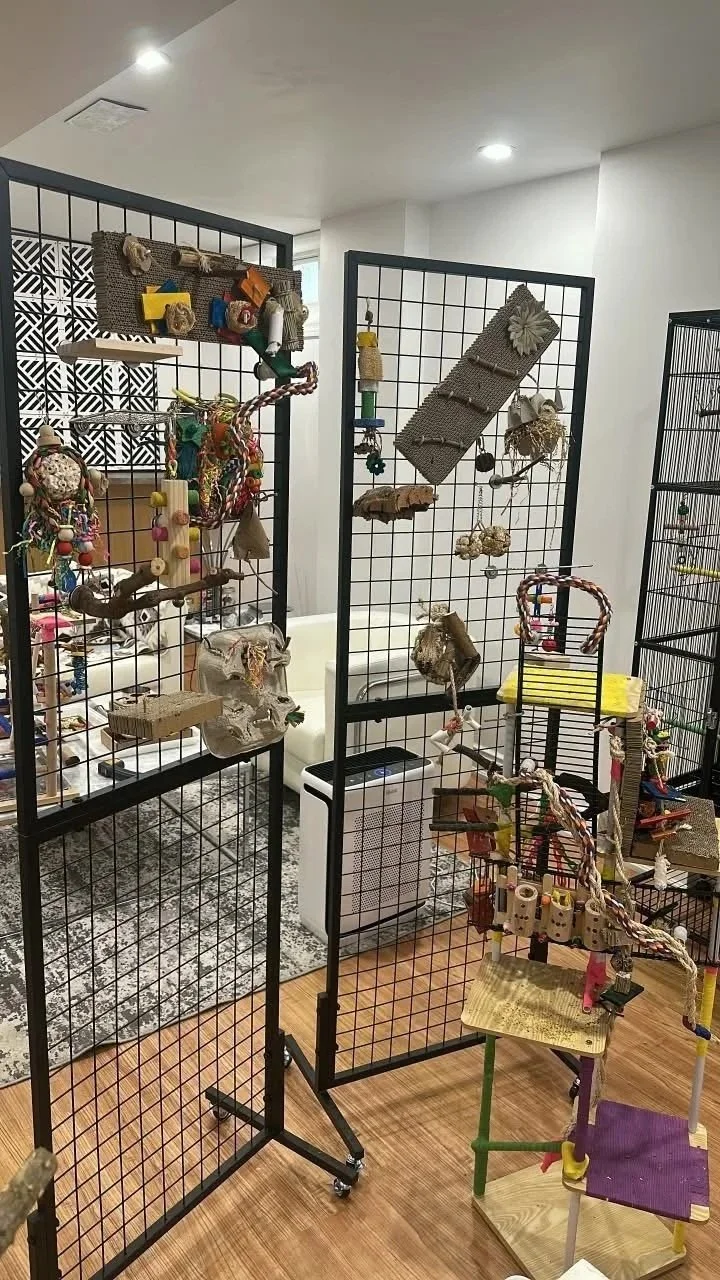 Display of bird and small animal toys and decorations on black grid panels in an indoor setting.