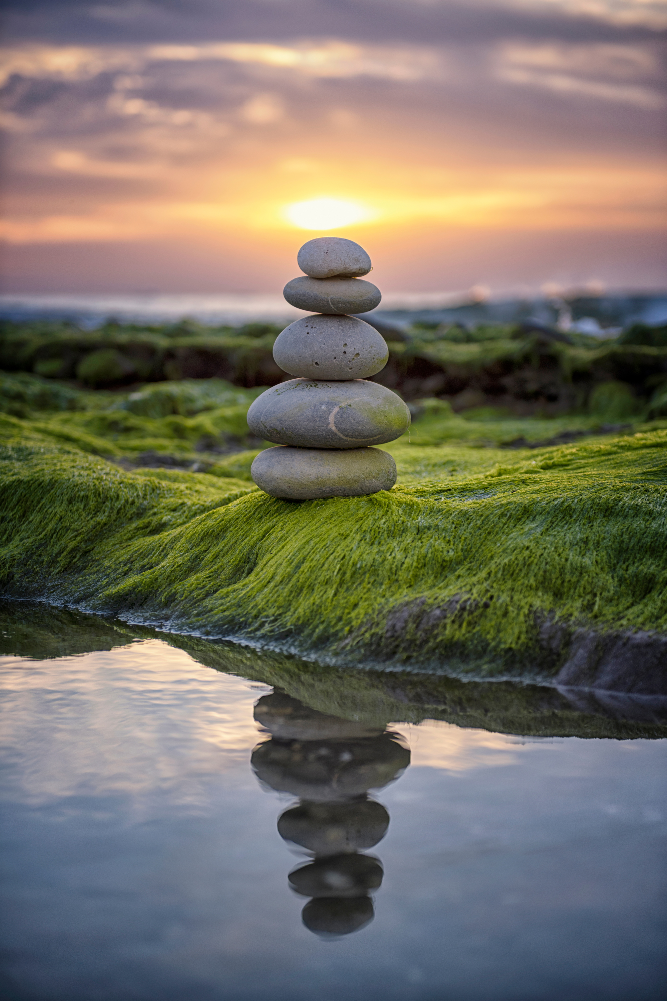 Reiki & Neurobiological Coaching