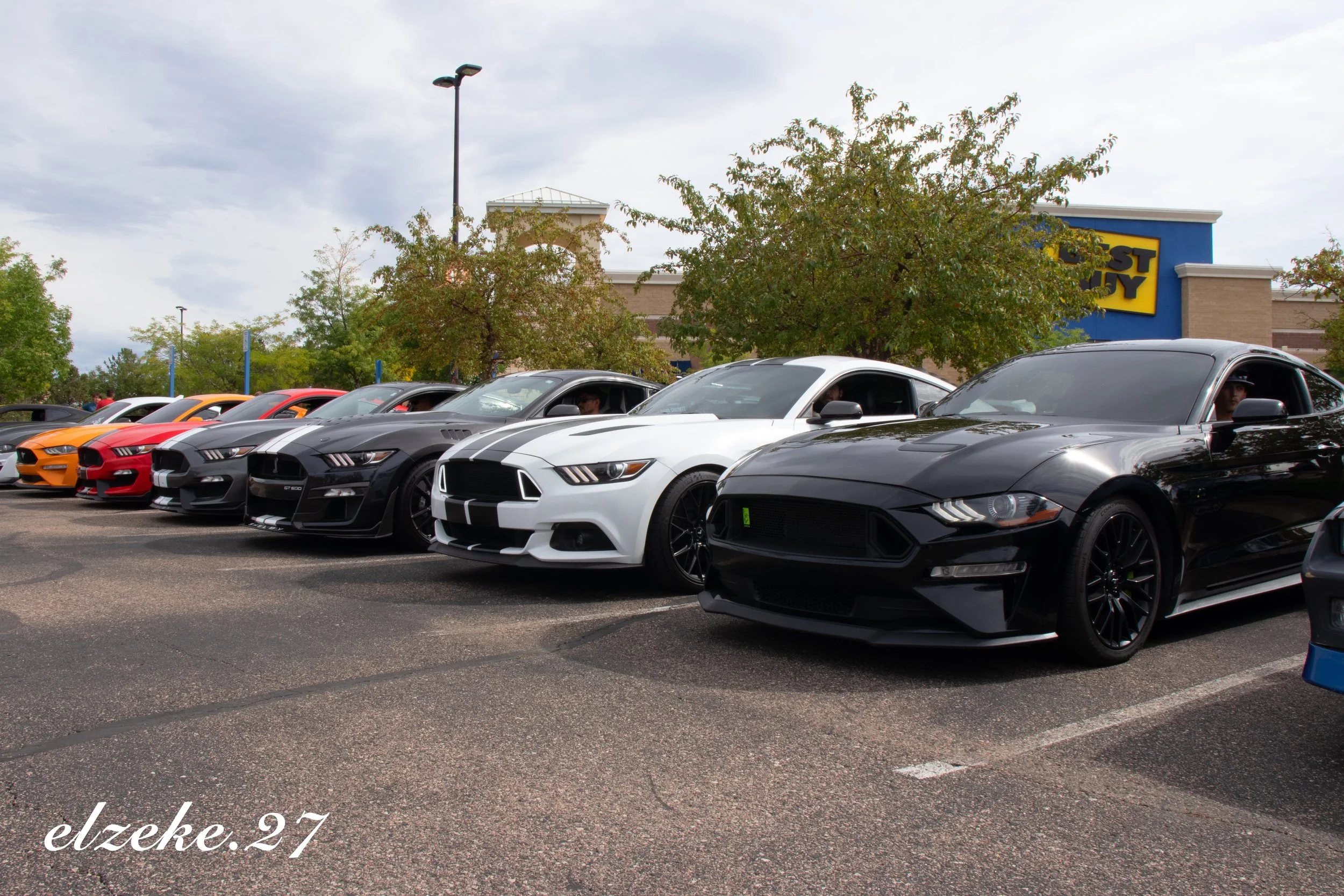Mustangslinedup2.jpeg