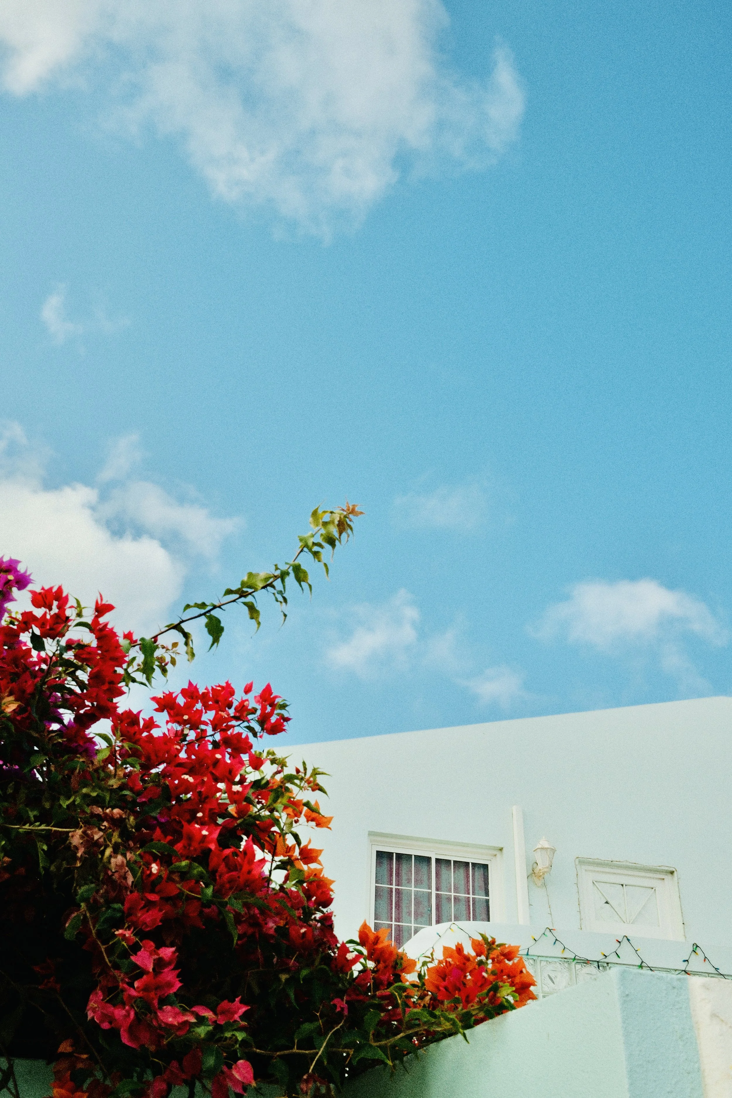 Landscapes