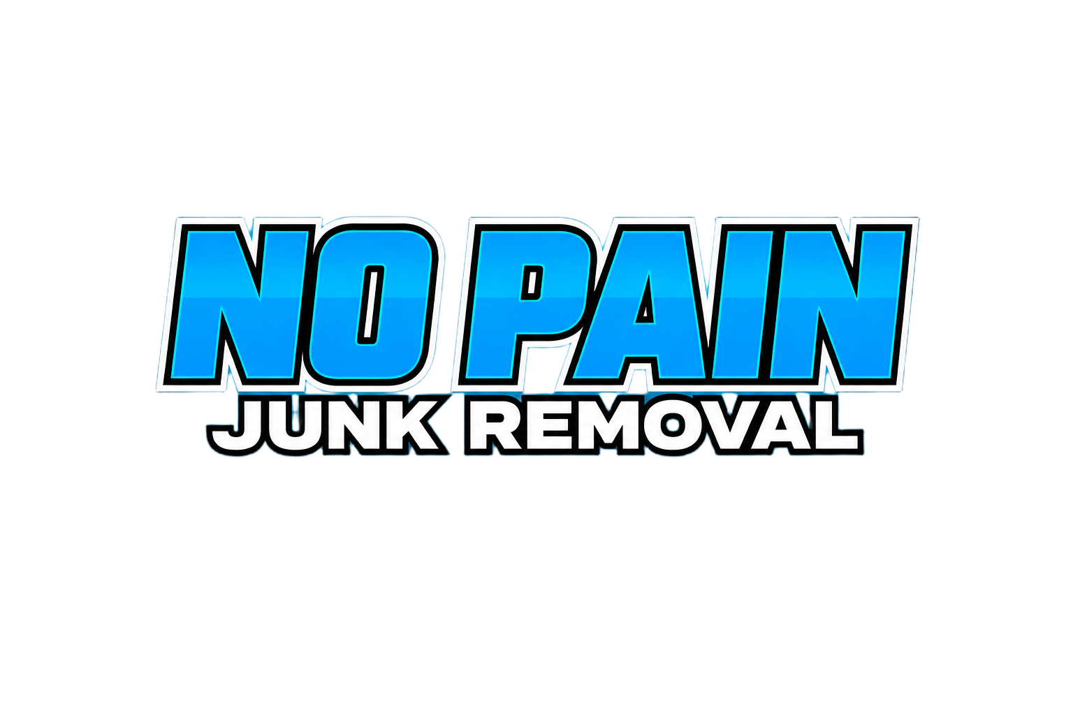 No Pain Junk Removal logo